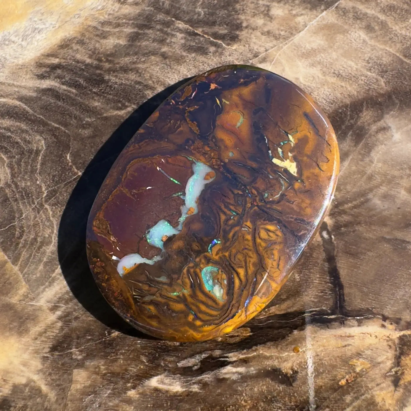 Polished 15.9ct Boulder Opal with brown matrix and vibrant blue-green play-of-color