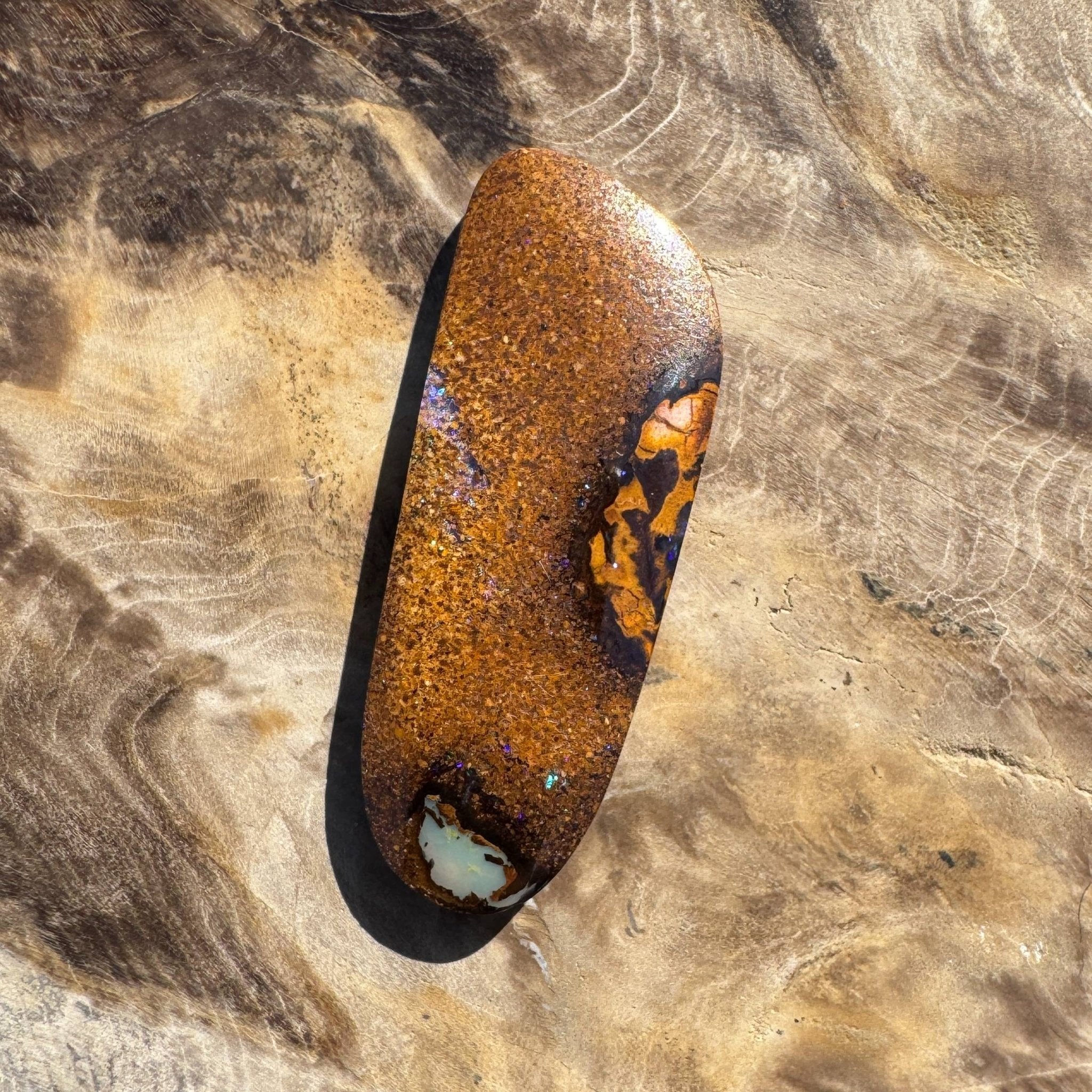 15.3ct Queensland Boulder Opal with Pipe