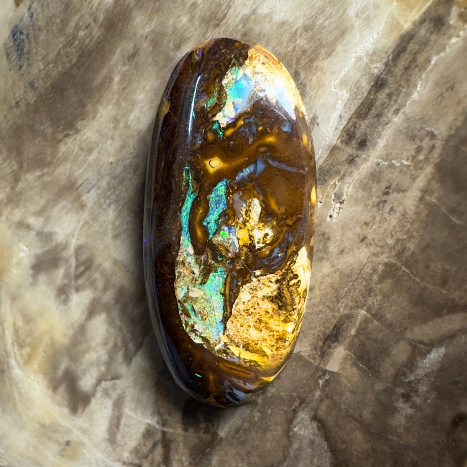 15.6ct Solid Queensland Boulder Opal