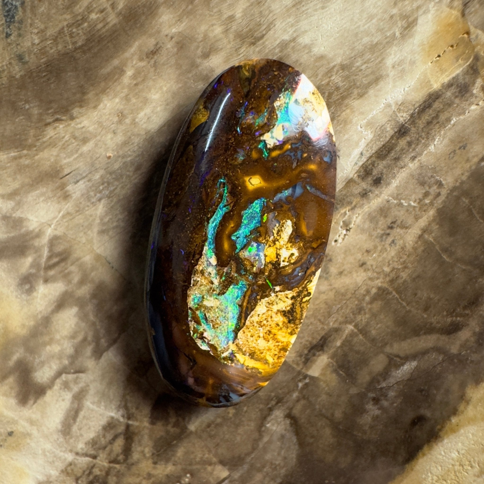 15.6ct Solid Queensland Boulder Opal
