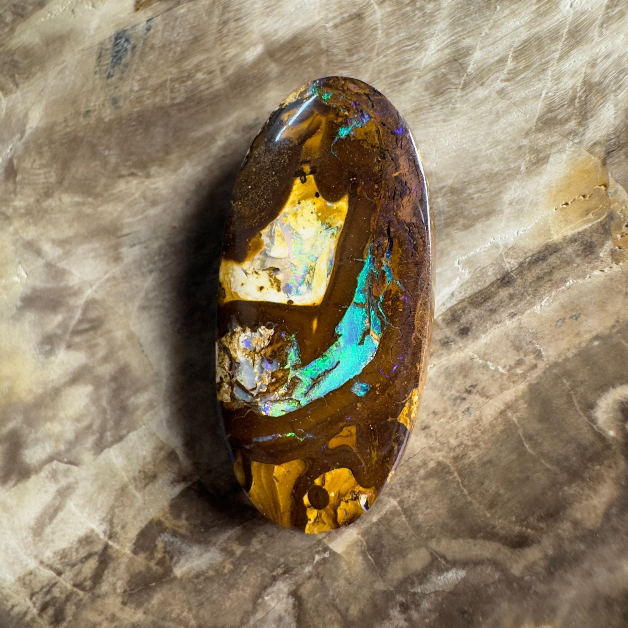 15.6ct Solid Queensland Boulder Opal