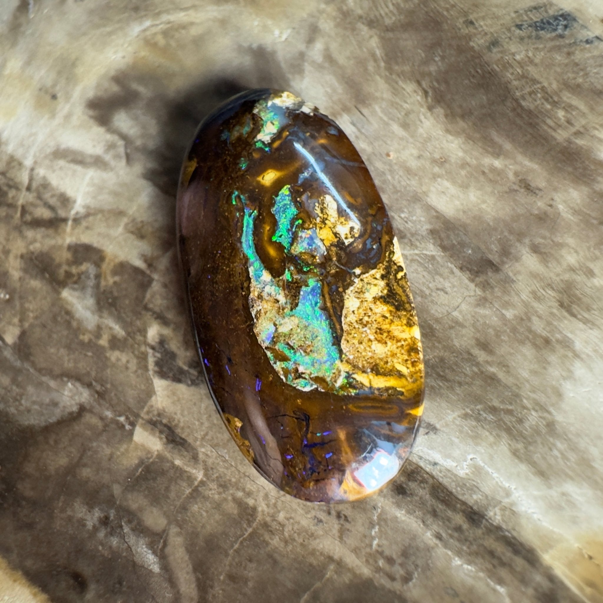 15.6ct Solid Queensland Boulder Opal