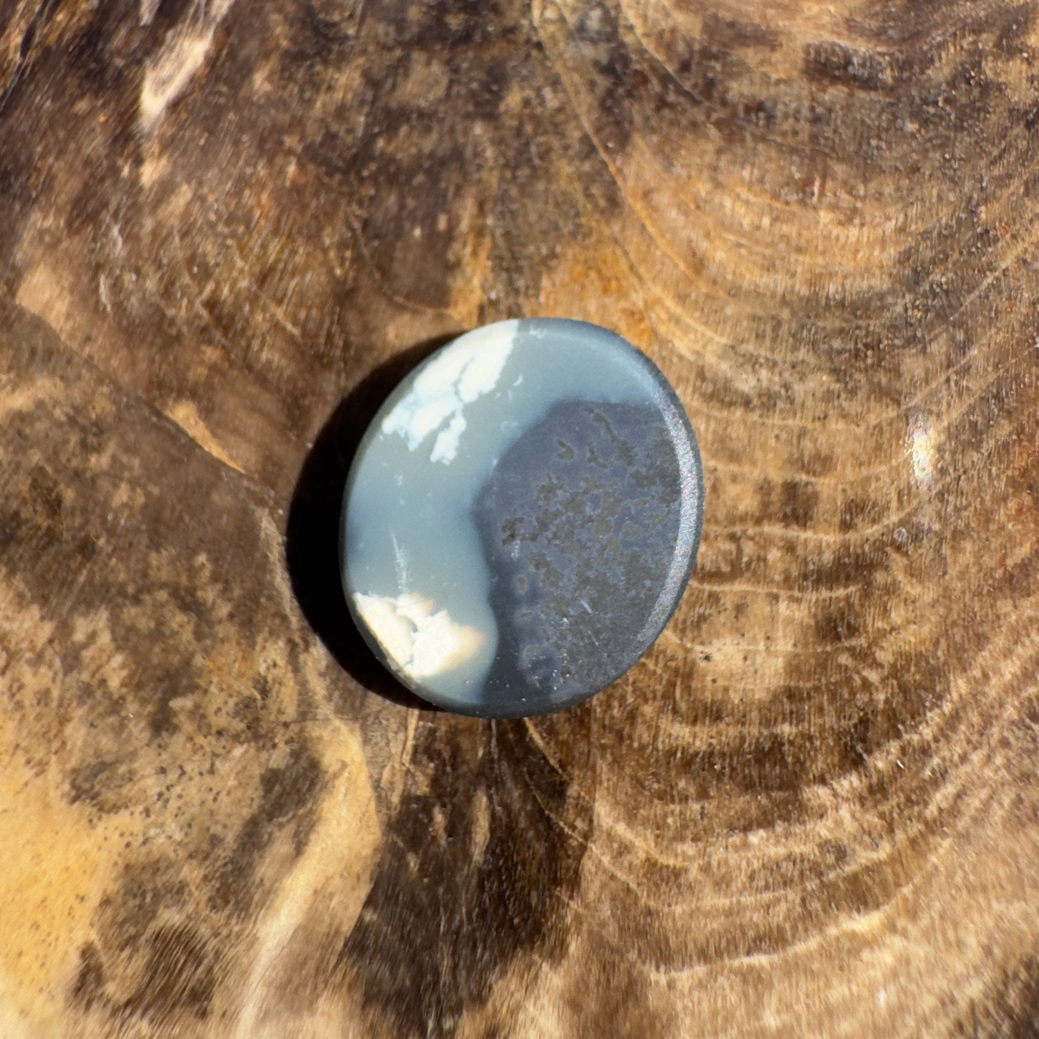 1.5ct Lightning Ridge Black Opal | Solid Australian Opal