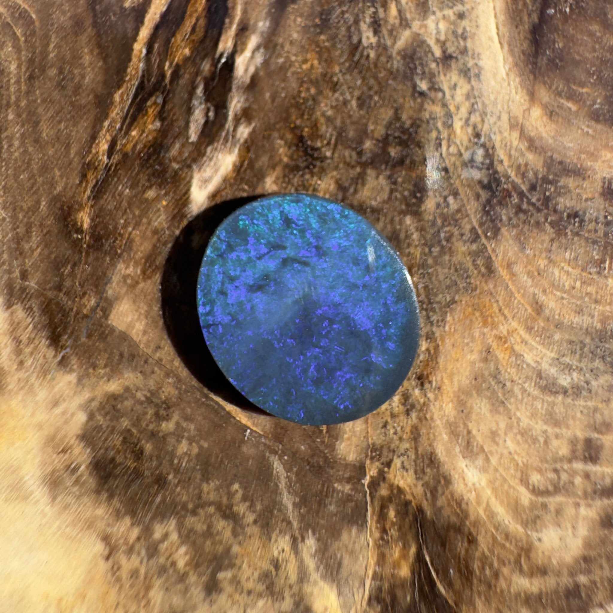 1.5ct Lightning Ridge Black Opal | Solid Australian Opal