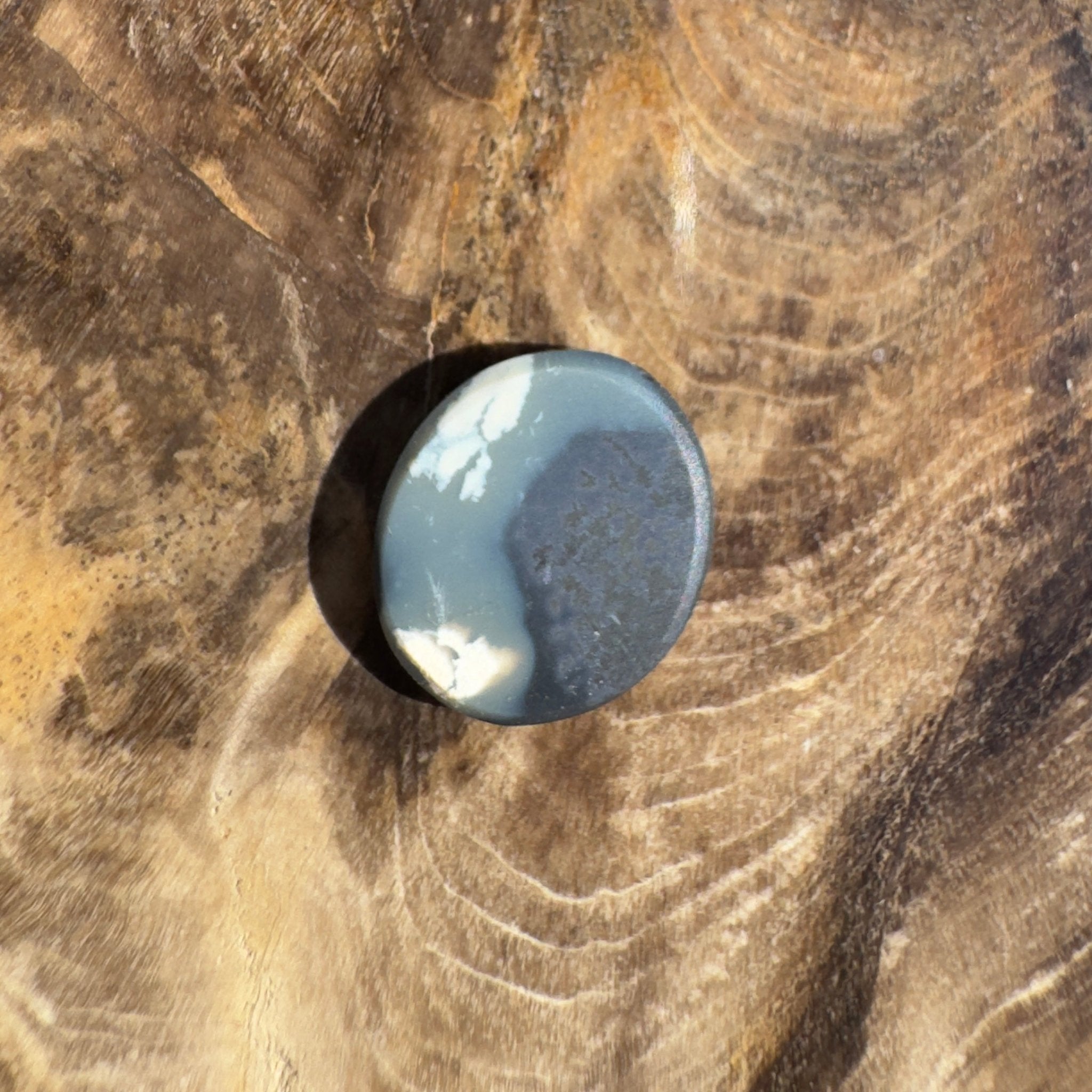 1.5ct Lightning Ridge Black Opal | Solid Australian Opal