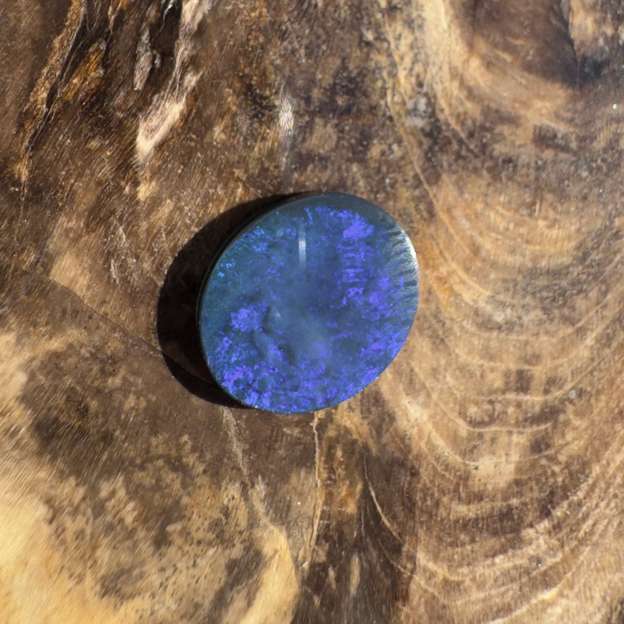 1.5ct Lightning Ridge Black Opal | Solid Australian Opal