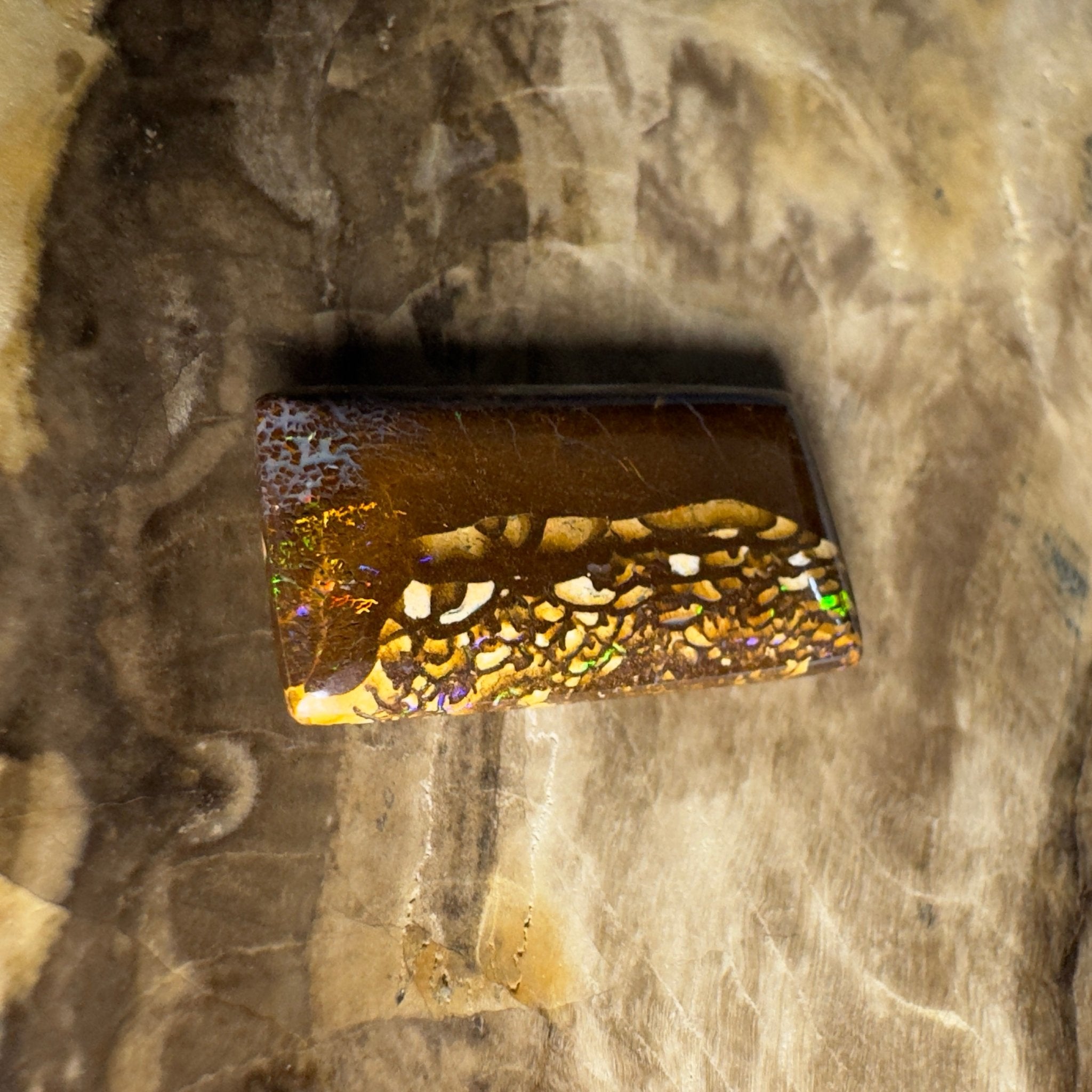 16.5ct Solid Queensland Boulder Opal