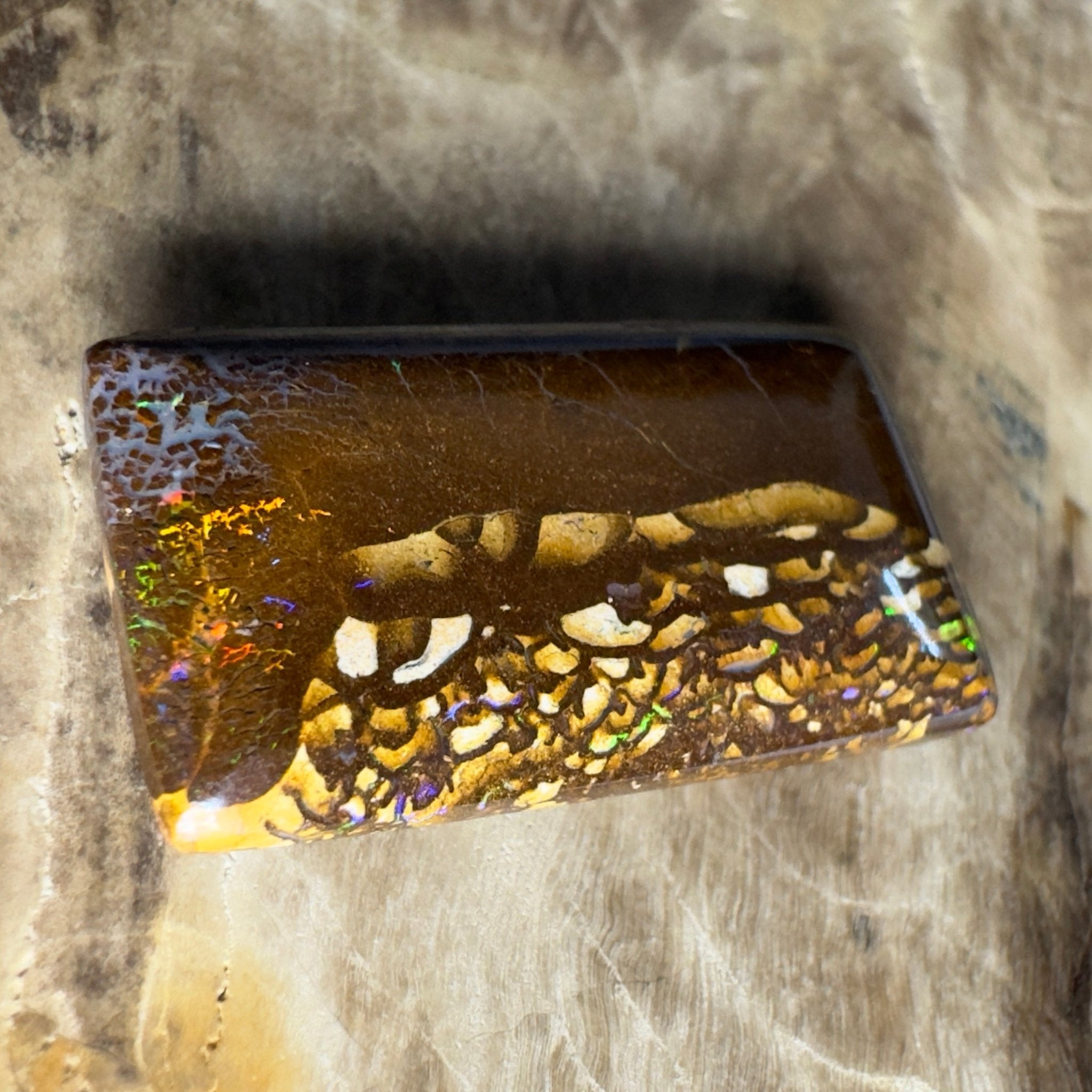 16.5ct Solid Queensland Boulder Opal