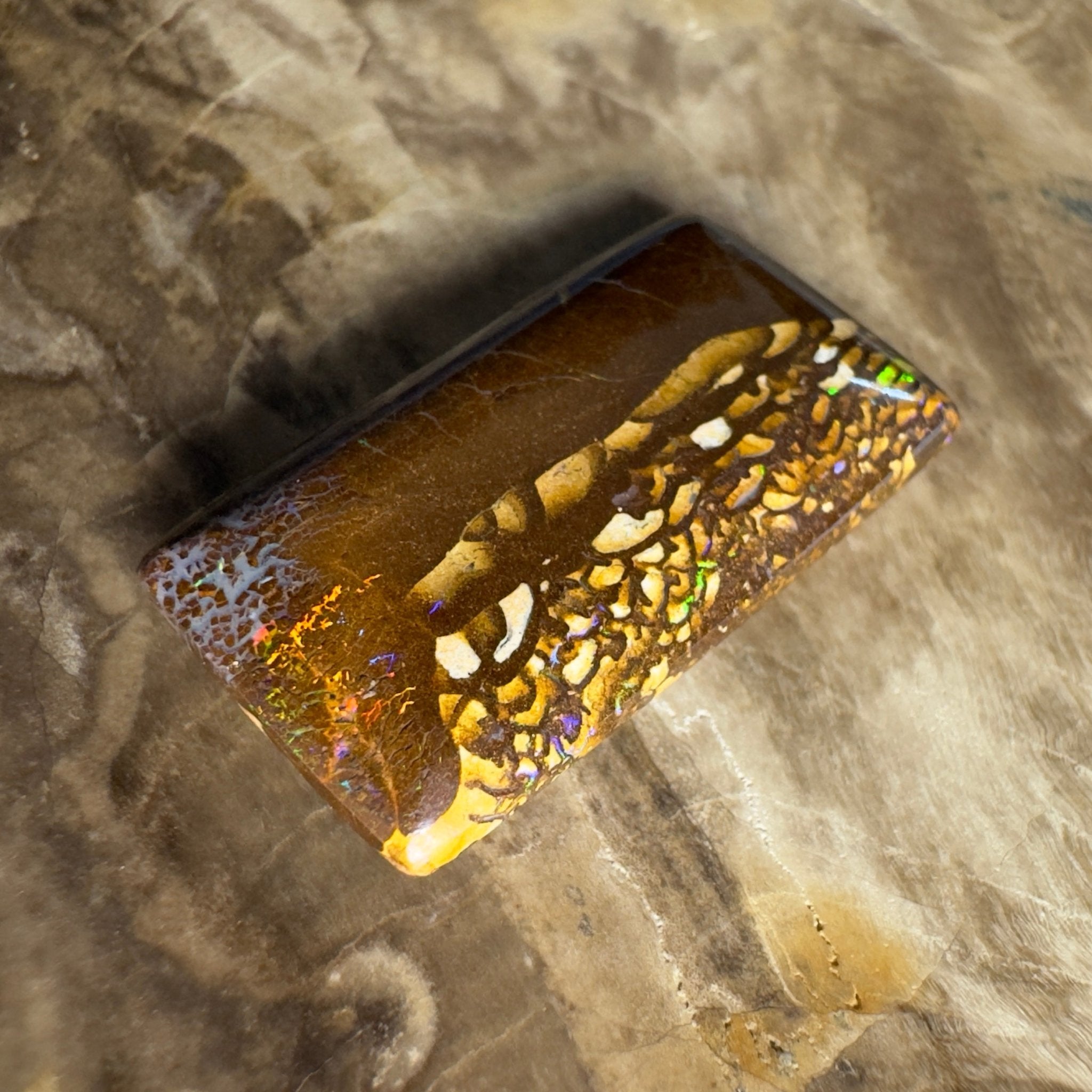 16.5ct Solid Queensland Boulder Opal