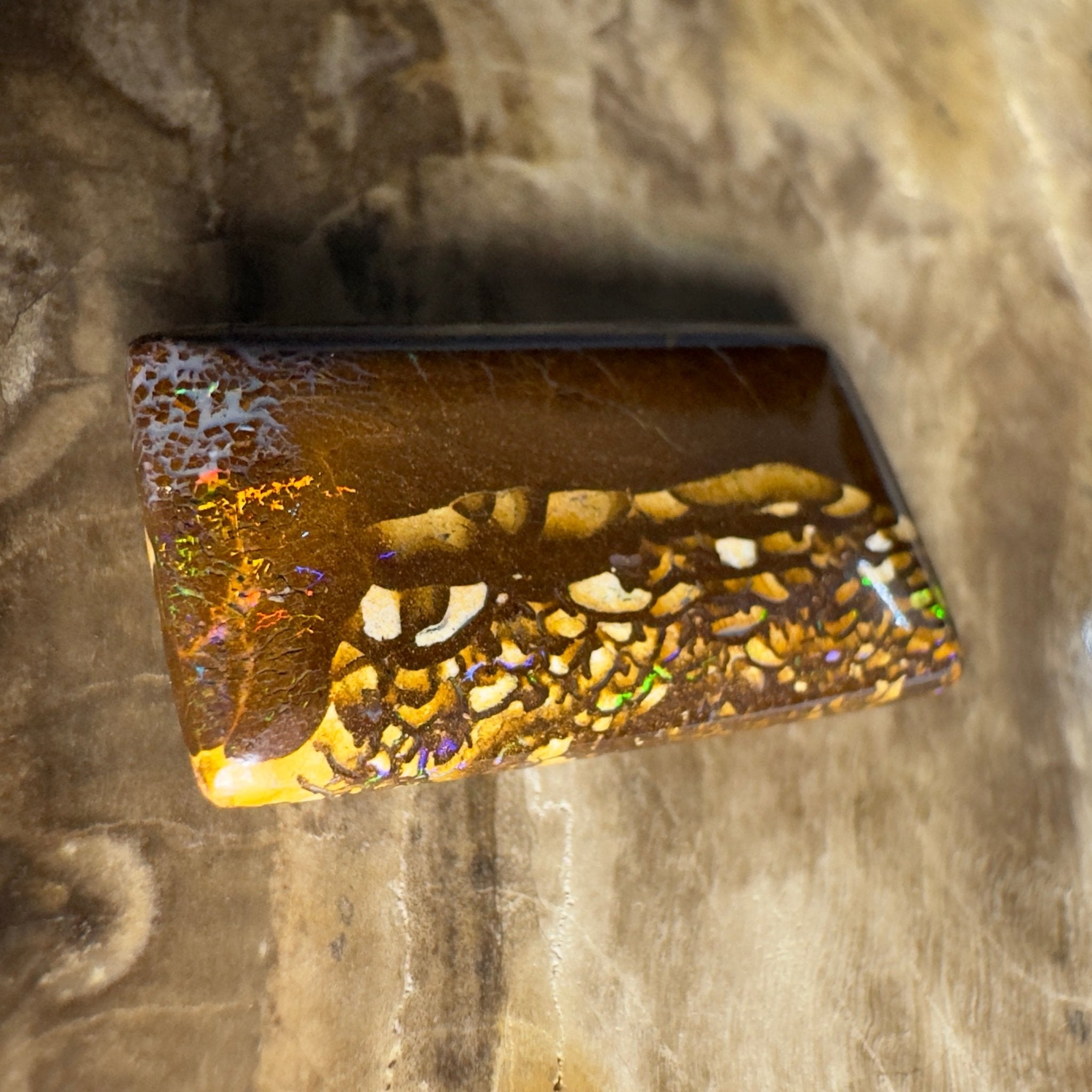 16.5ct Solid Queensland Boulder Opal