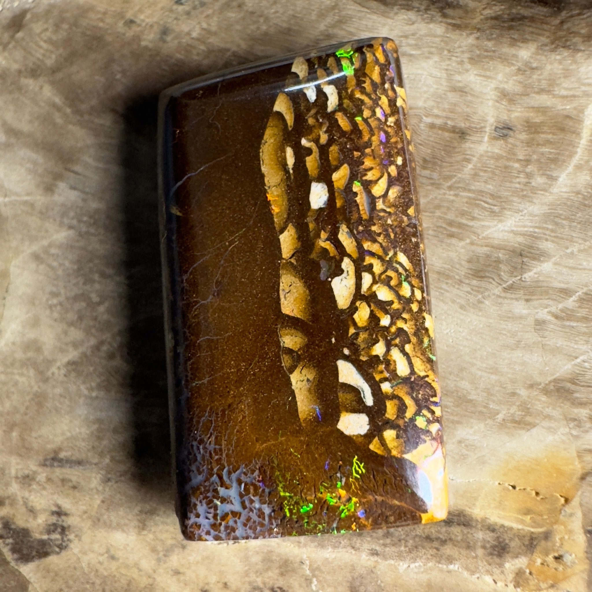 16.5ct Solid Queensland Boulder Opal