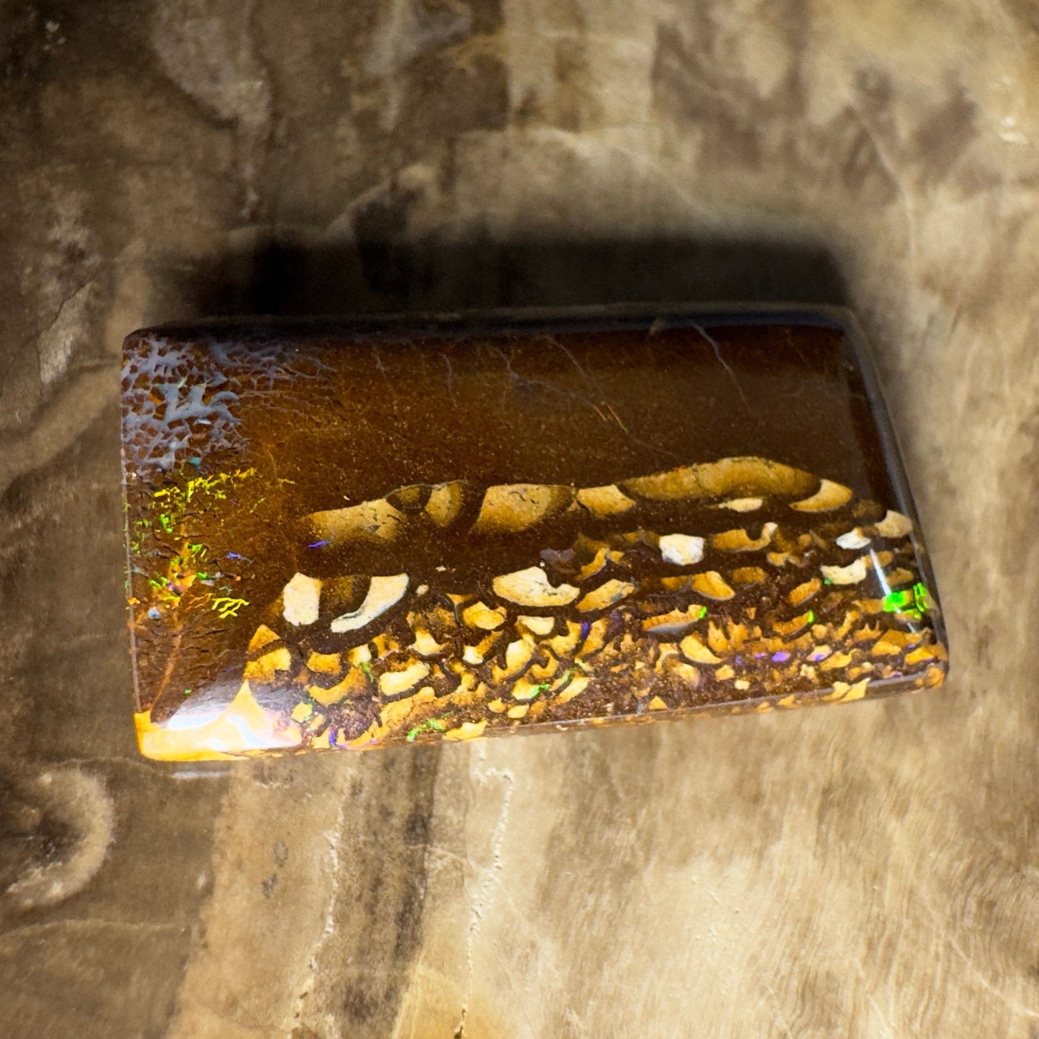 16.5ct Solid Queensland Boulder Opal