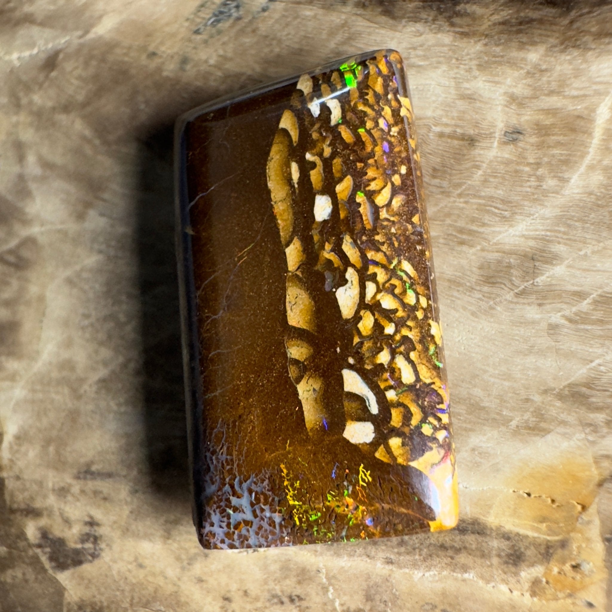 16.5ct Solid Queensland Boulder Opal