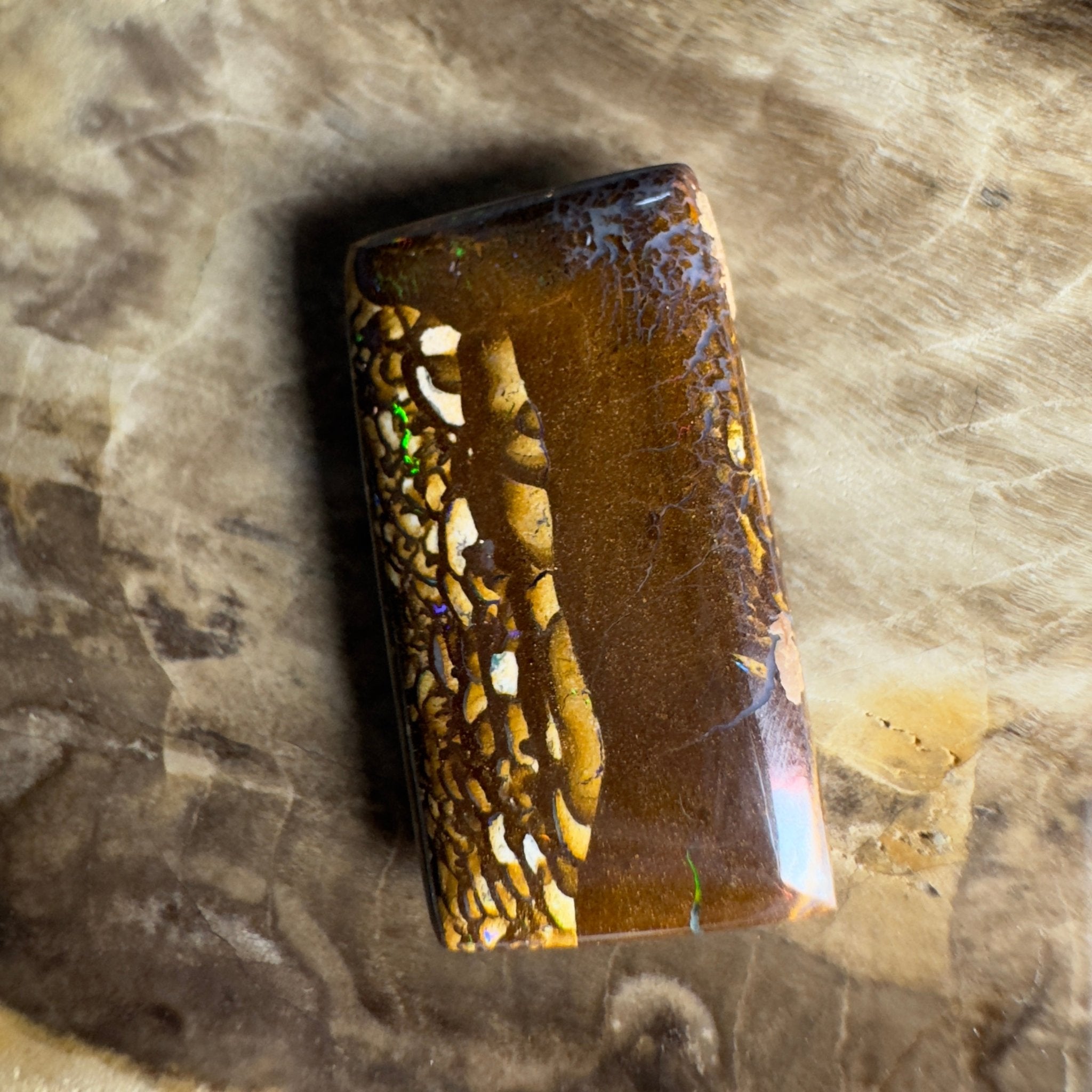 16.5ct Solid Queensland Boulder Opal