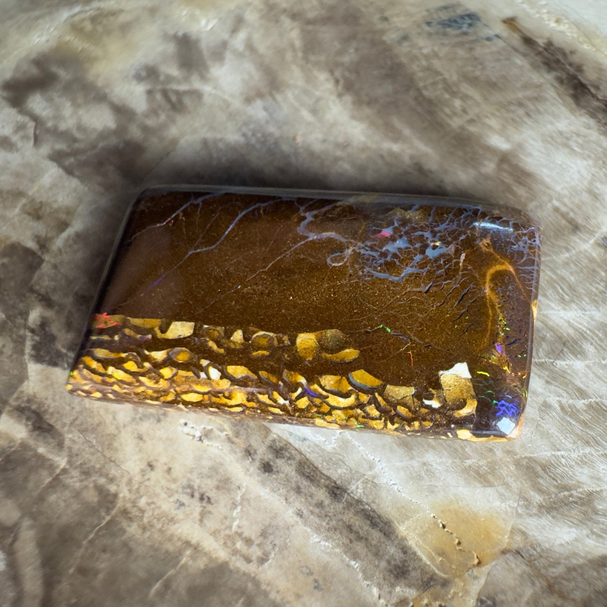 16.5ct Solid Queensland Boulder Opal