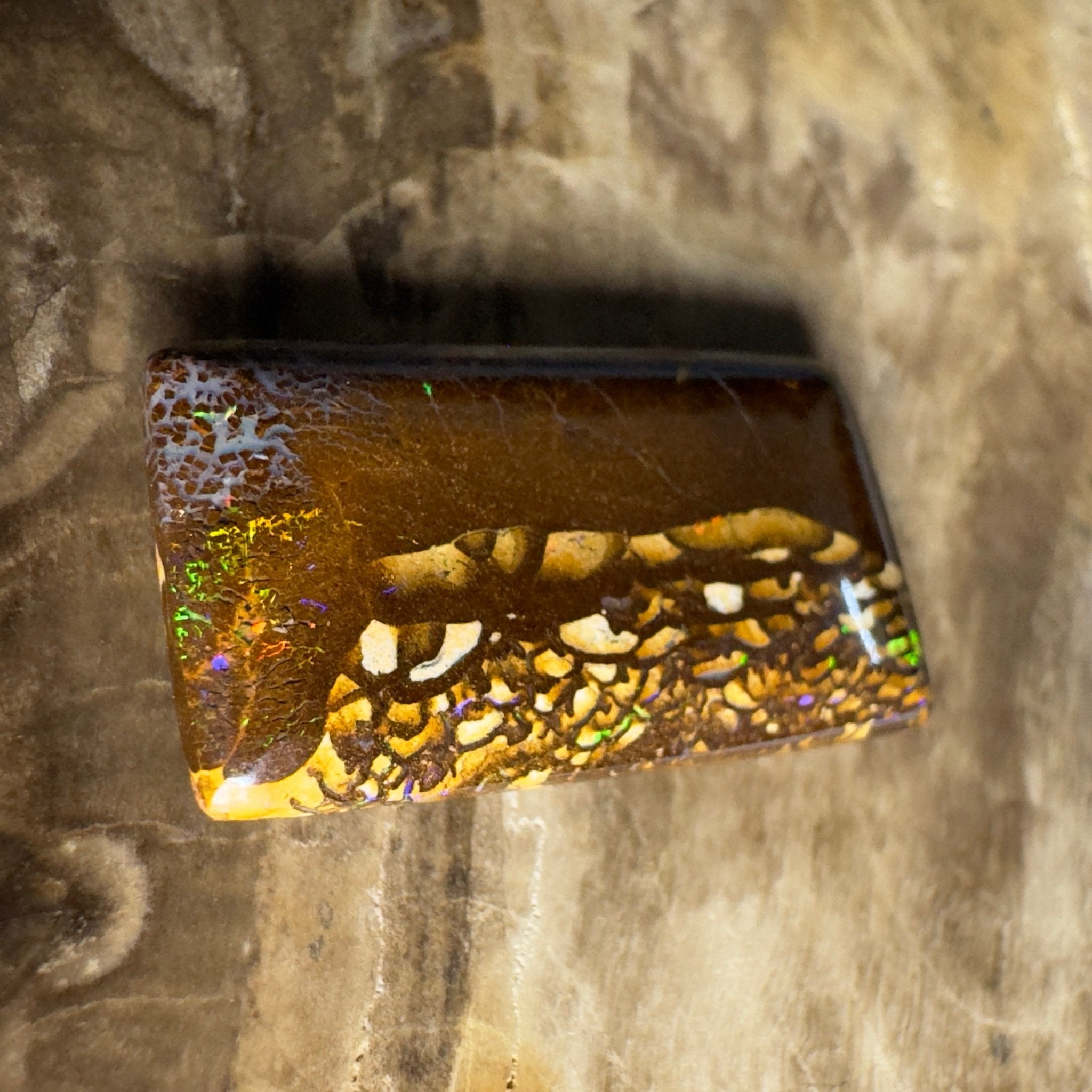 16.5ct Solid Queensland Boulder Opal