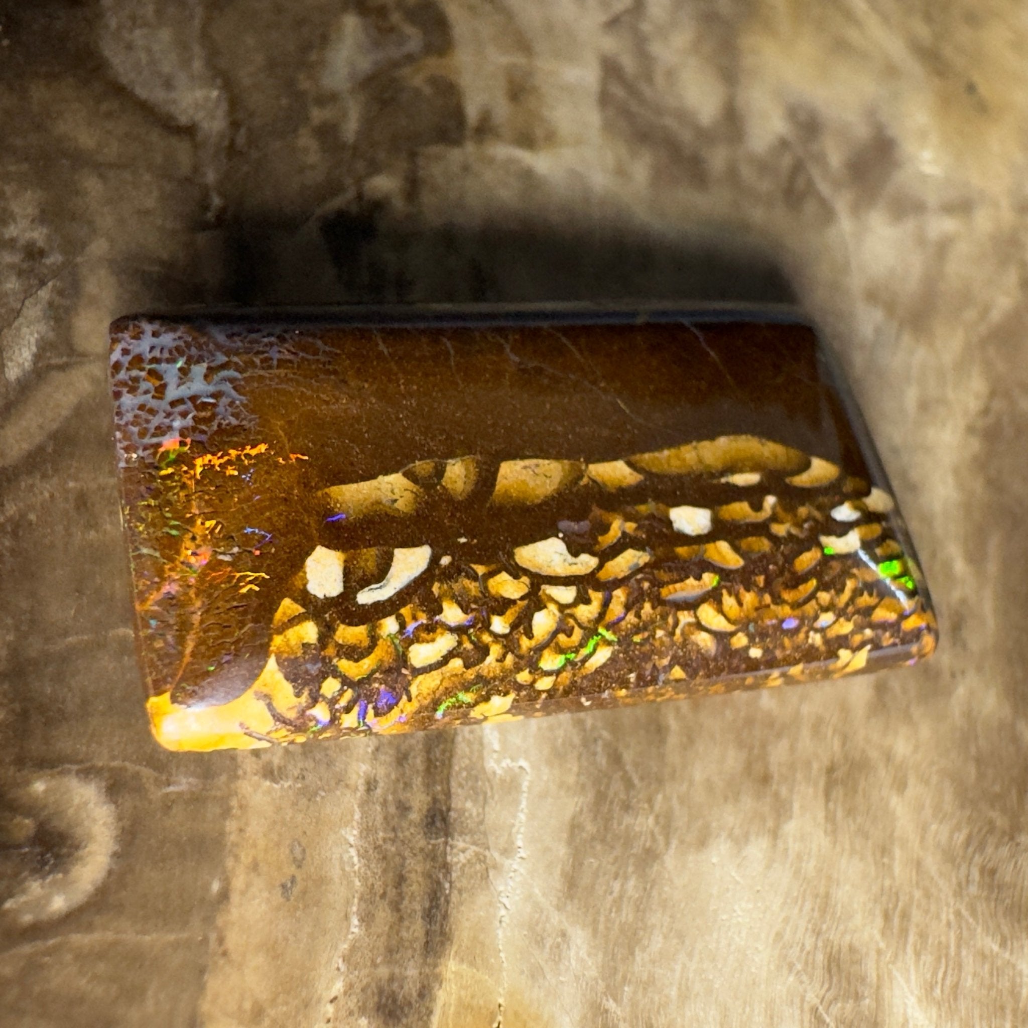 16.5ct Solid Queensland Boulder Opal