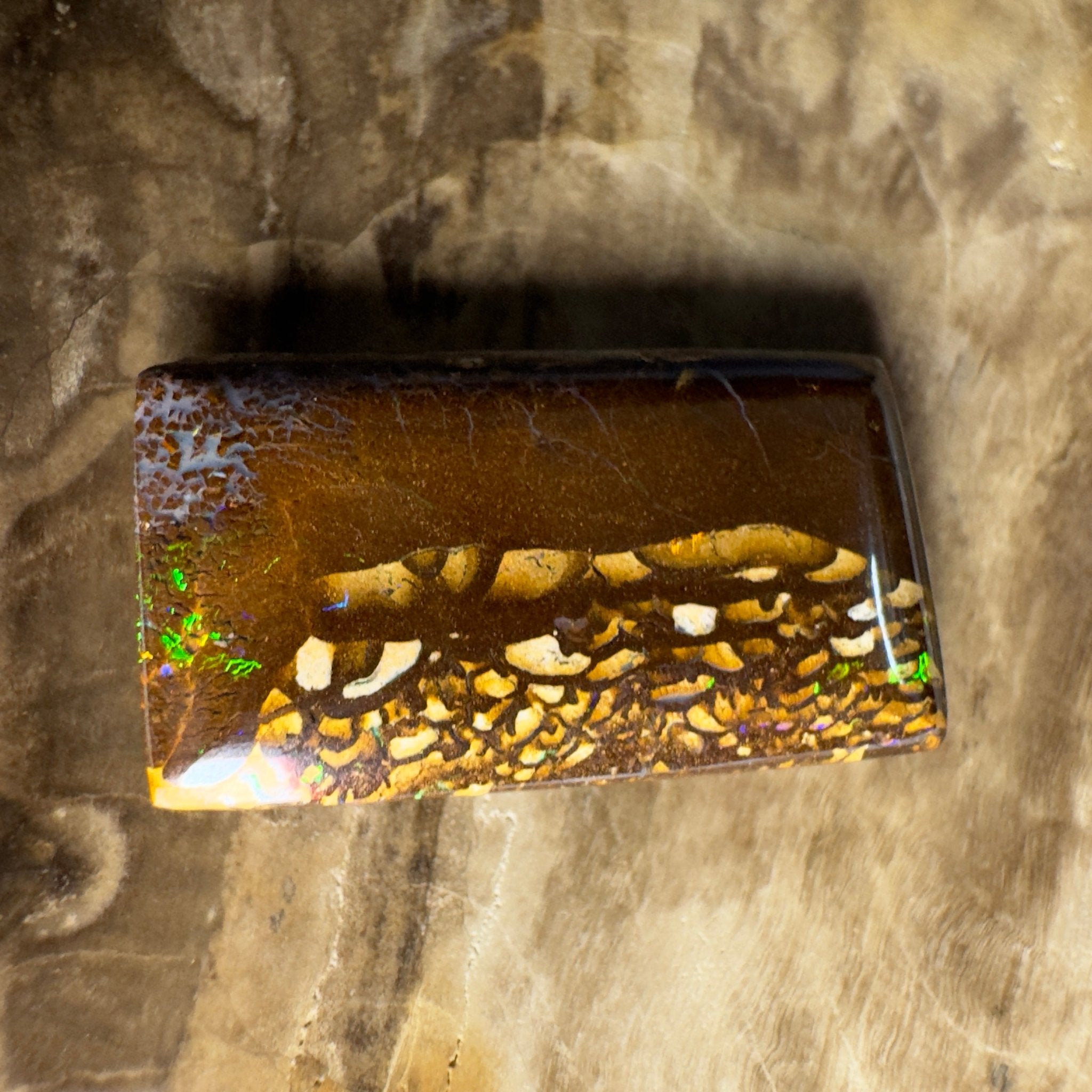 16.5ct Solid Queensland Boulder Opal