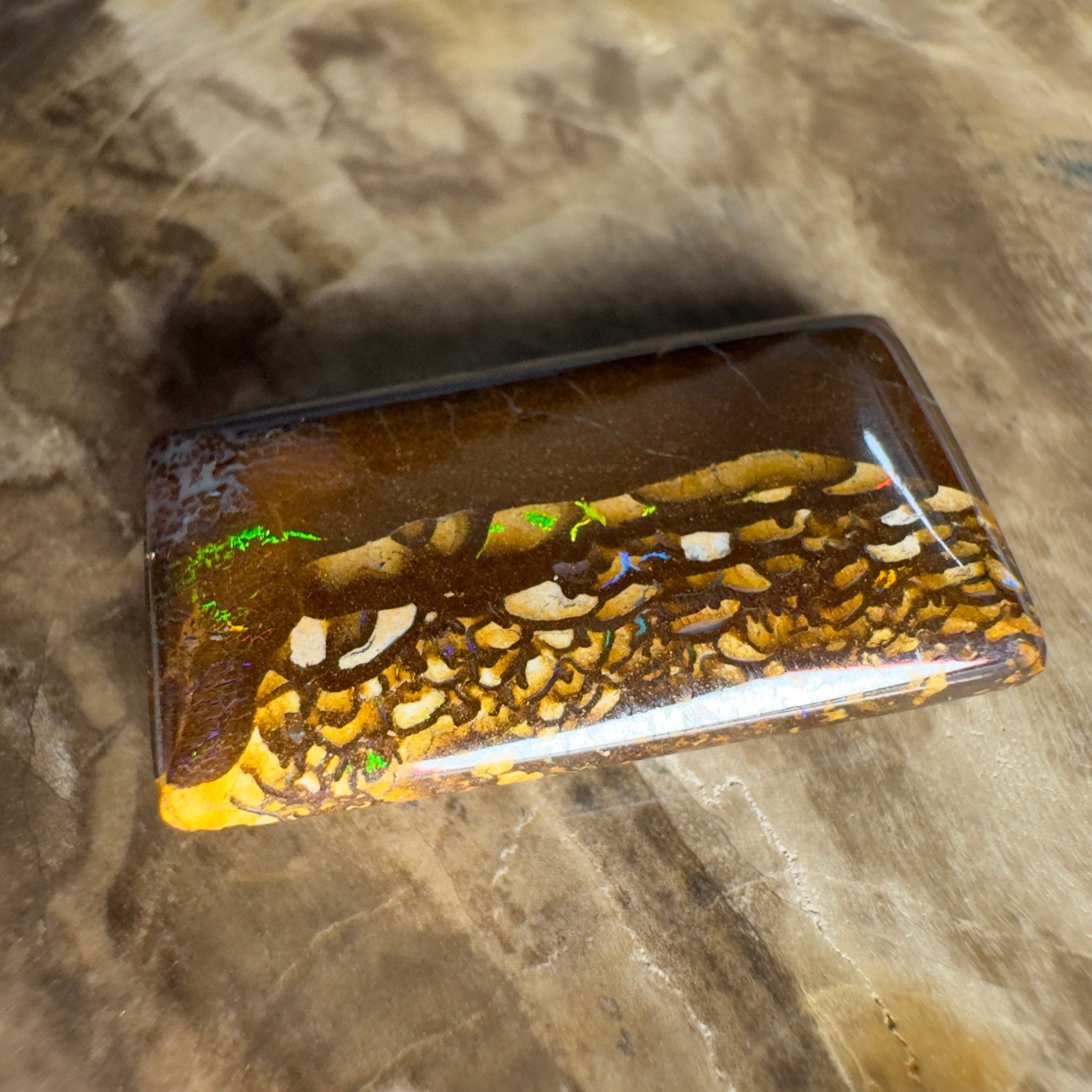 16.5ct Solid Queensland Boulder Opal