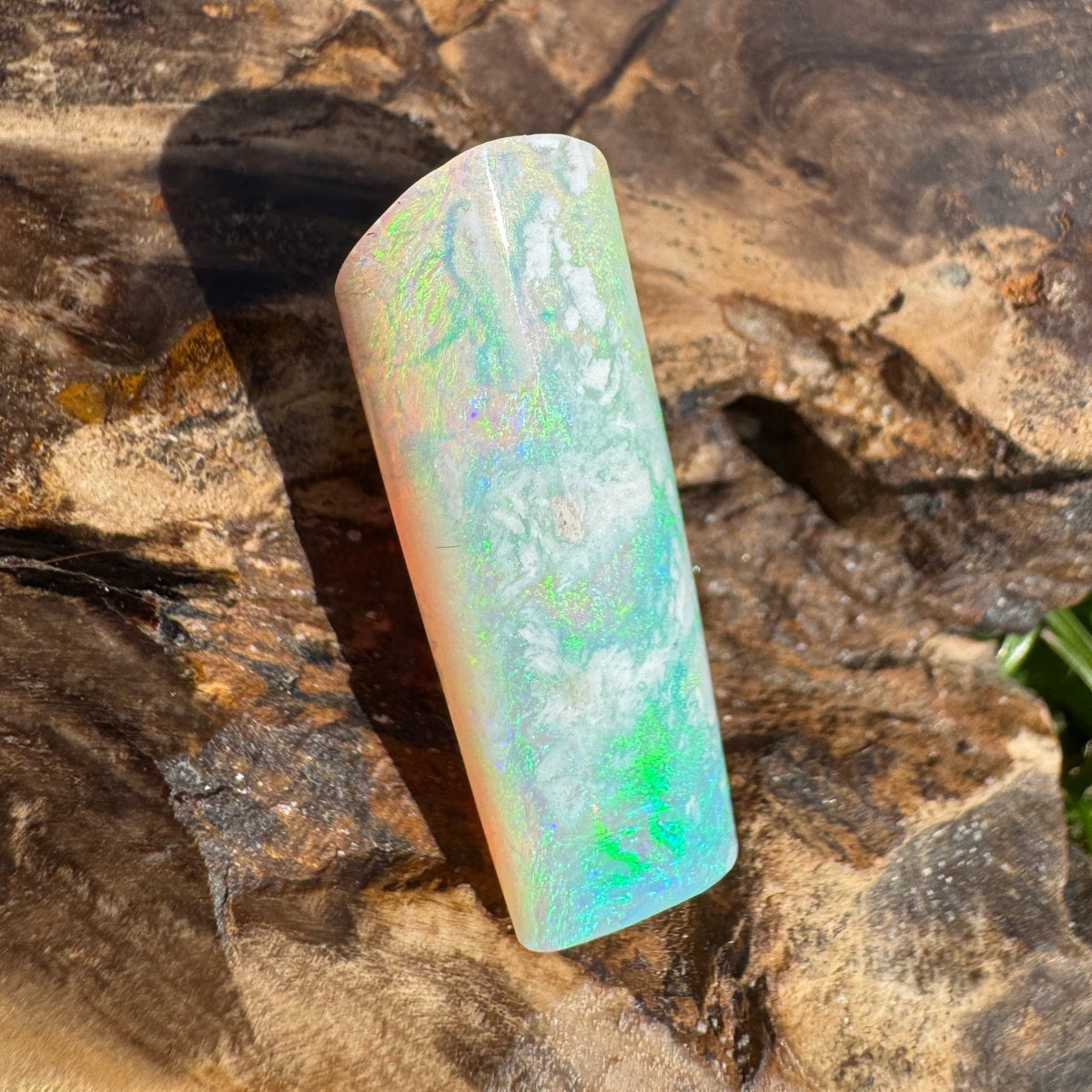 16.6ct Coober Pedy Belemnite Opal | Solid Australian Opal | Hand-Cut