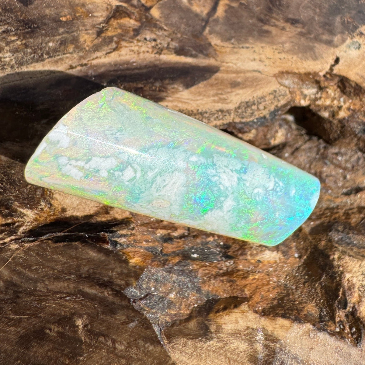 16.6ct Coober Pedy Belemnite Opal | Solid Australian Opal | Hand-Cut