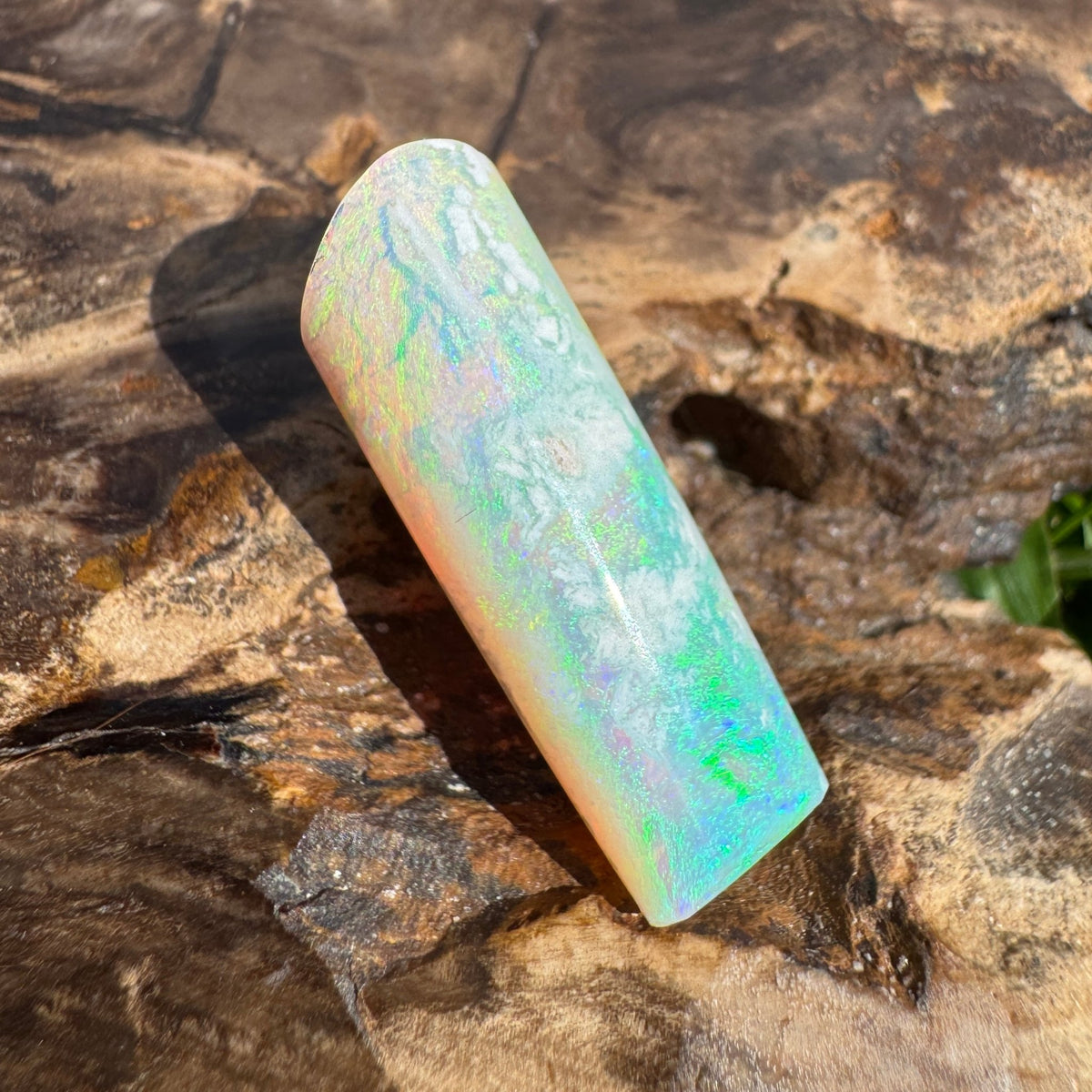 16.6ct Coober Pedy Belemnite Opal | Solid Australian Opal | Hand-Cut