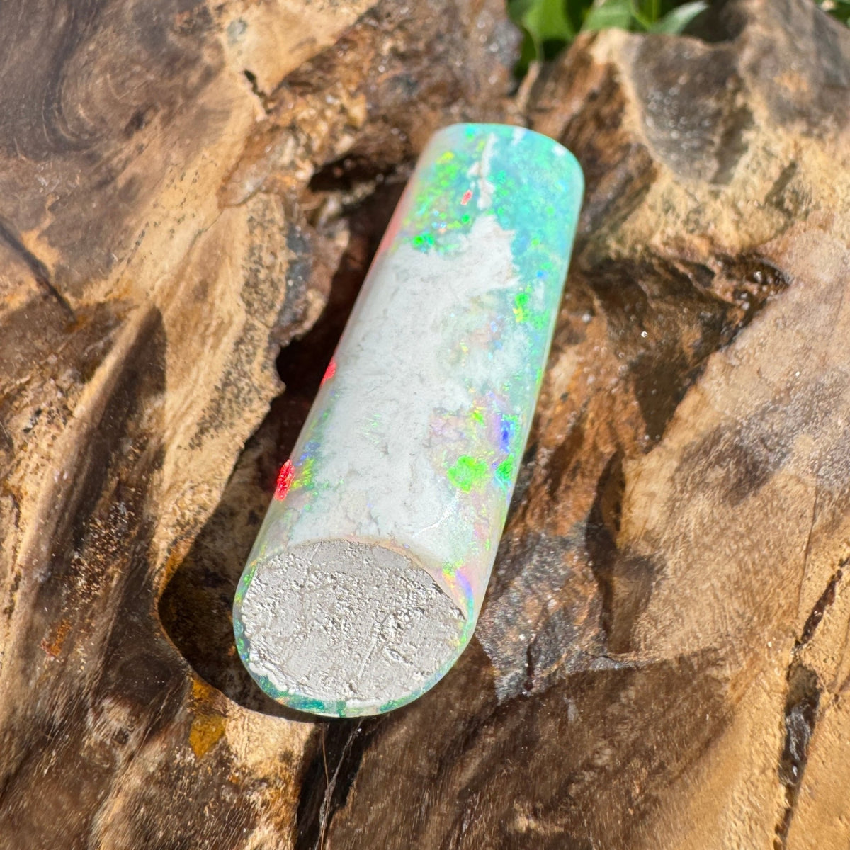 16.6ct Coober Pedy Belemnite Opal | Solid Australian Opal | Hand-Cut