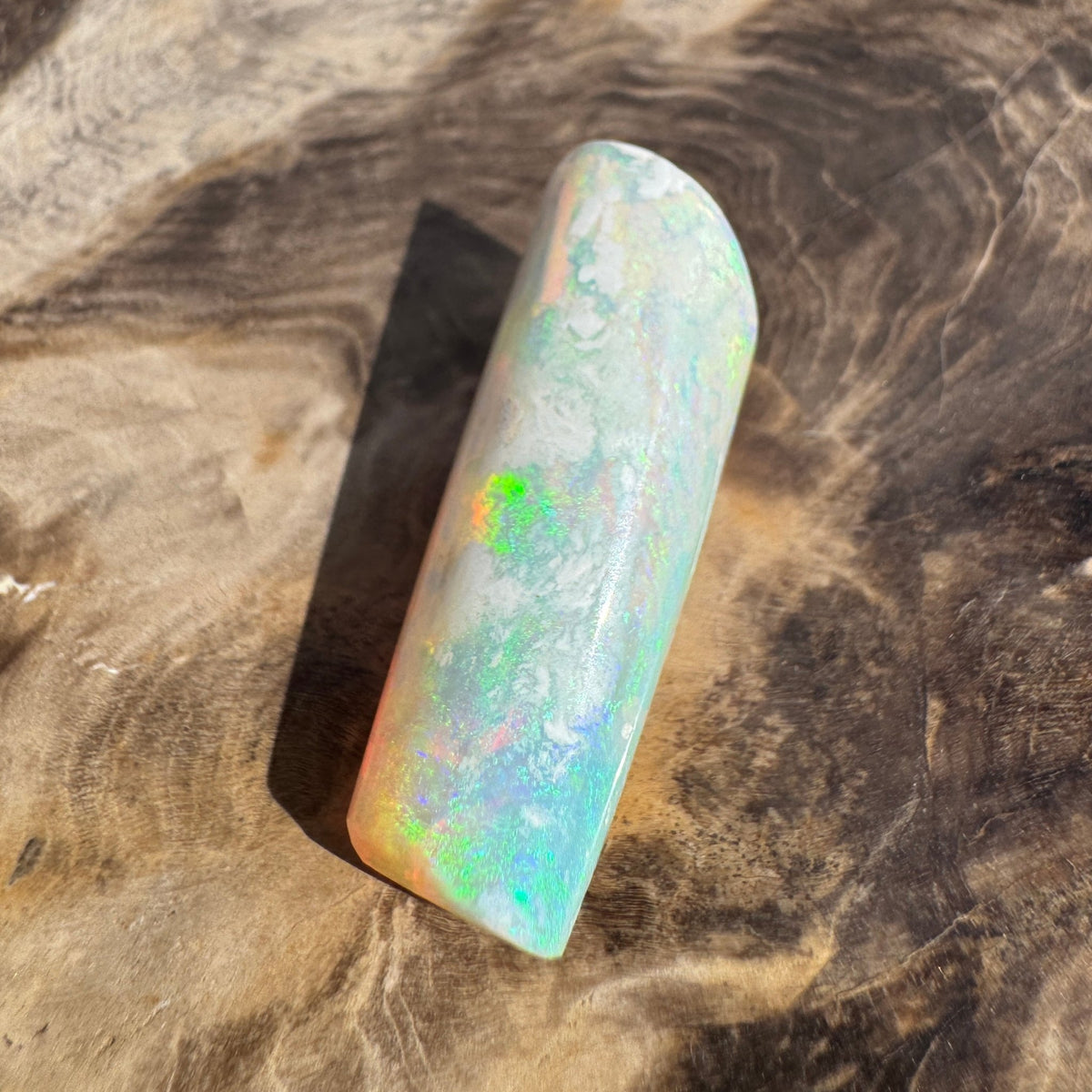 16.6ct Coober Pedy Belemnite Opal | Solid Australian Opal | Hand-Cut