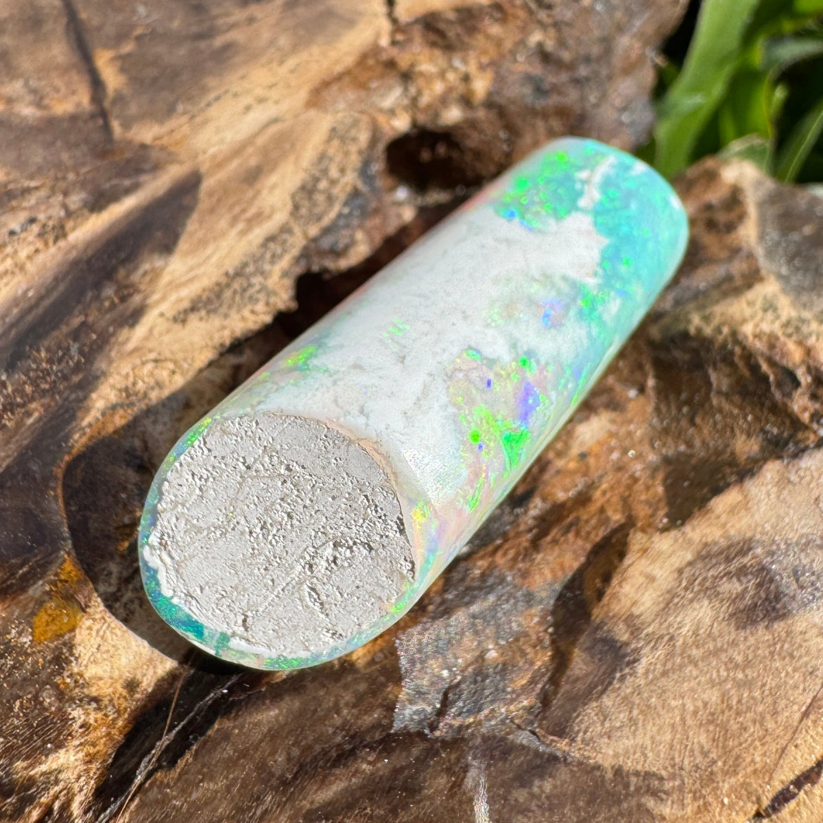 16.6ct Coober Pedy Belemnite Opal | Solid Australian Opal | Hand-Cut