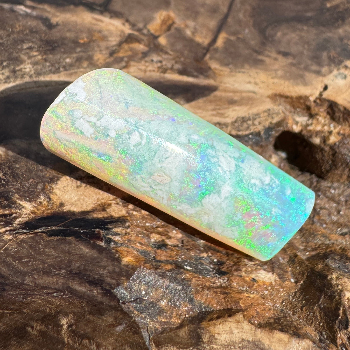 16.6ct Coober Pedy Belemnite Opal | Solid Australian Opal | Hand-Cut