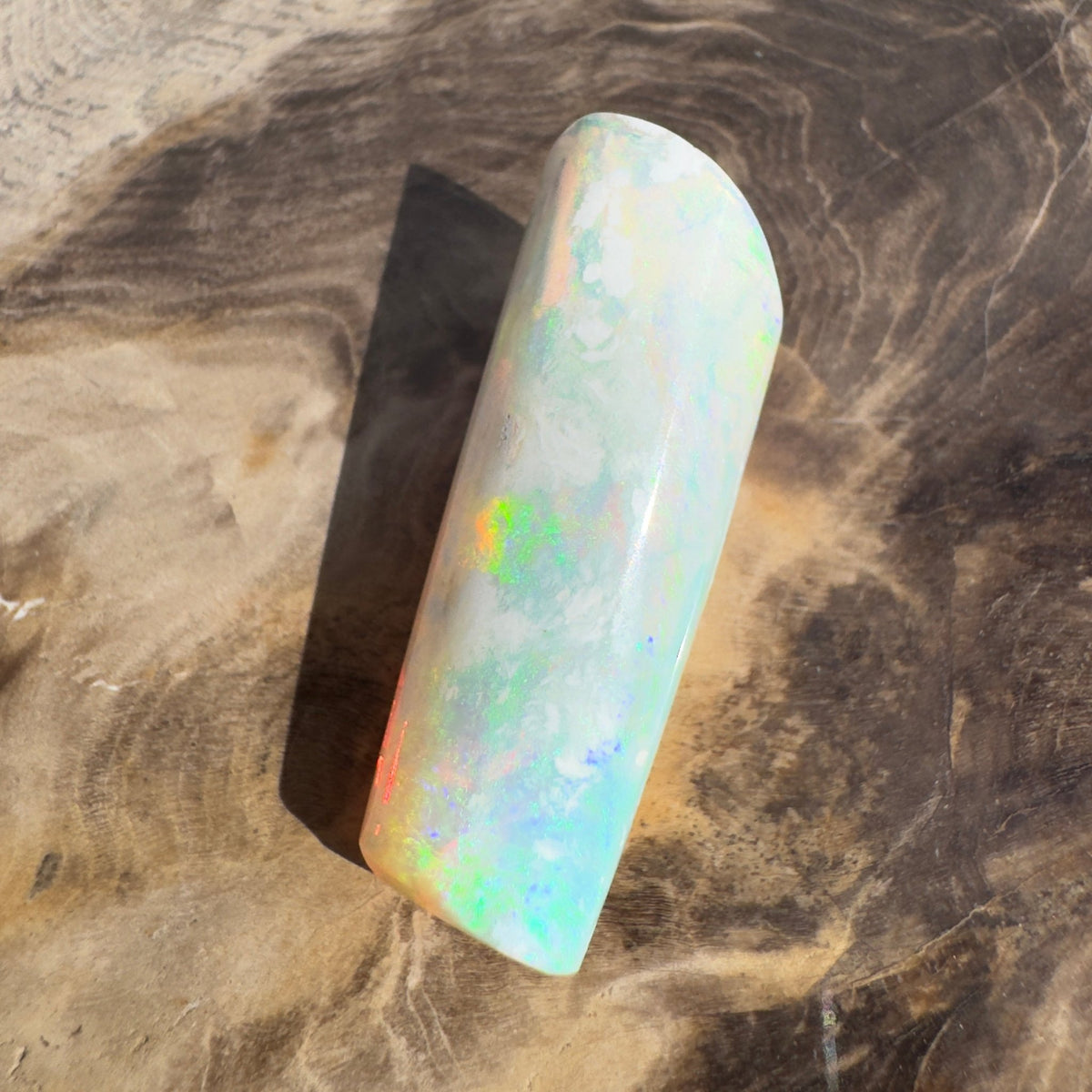 16.6ct Coober Pedy Belemnite Opal | Solid Australian Opal | Hand-Cut