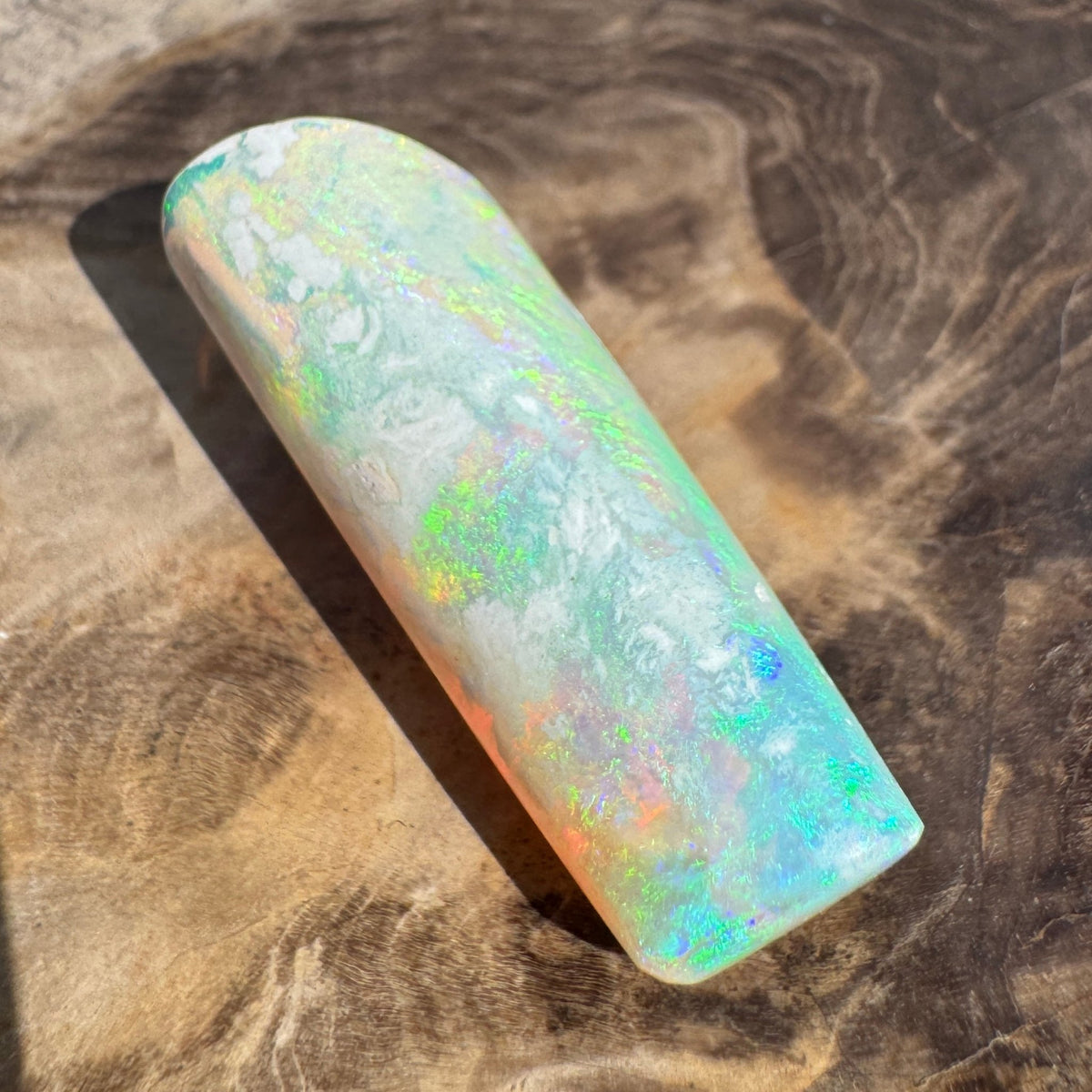 16.6ct Coober Pedy Belemnite Opal | Solid Australian Opal | Hand-Cut