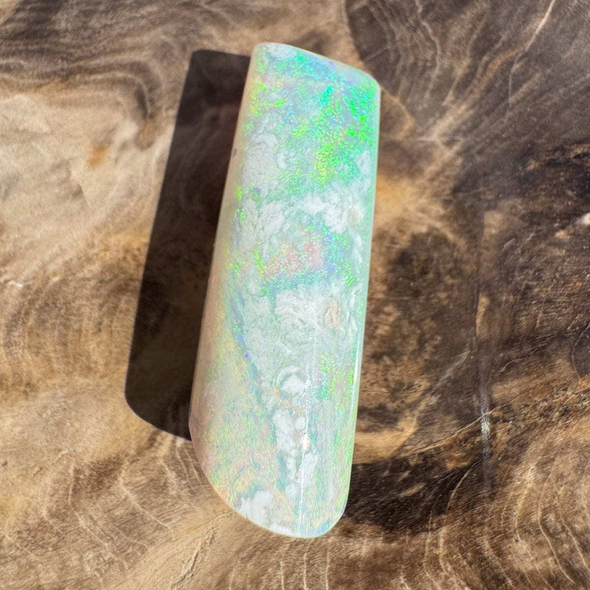 16.6ct Coober Pedy Belemnite Opal | Solid Australian Opal | Hand-Cut