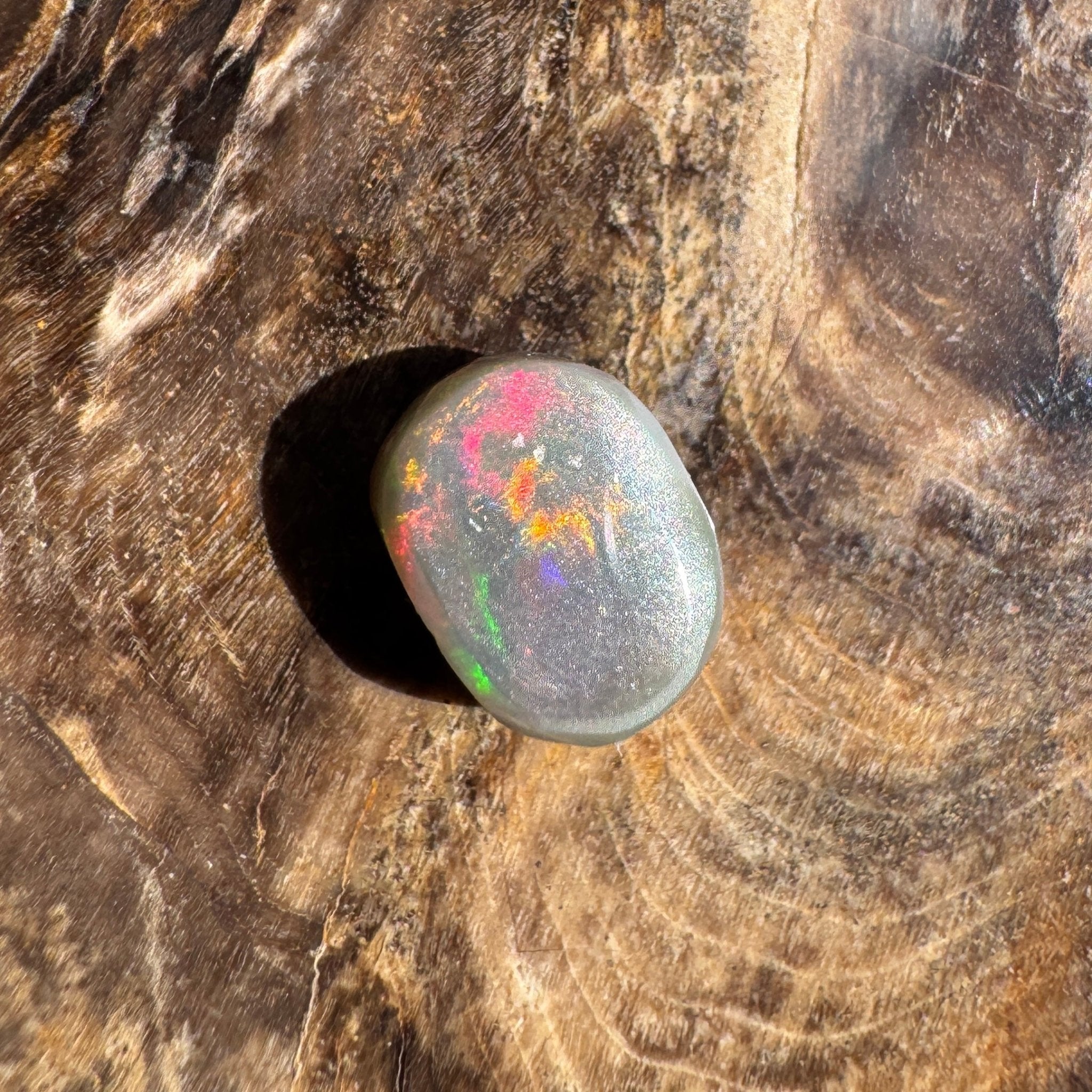 1.6ct Lightning Ridge Semi Black Opal | Solid Australian Opal | Hand-Cut