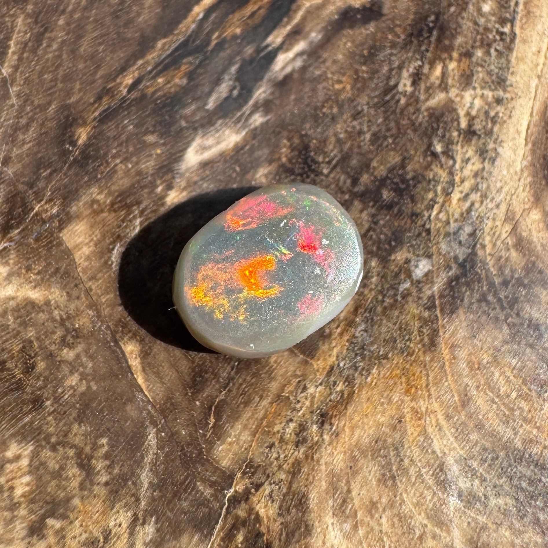 1.6ct Lightning Ridge Semi Black Opal | Solid Australian Opal | Hand-Cut