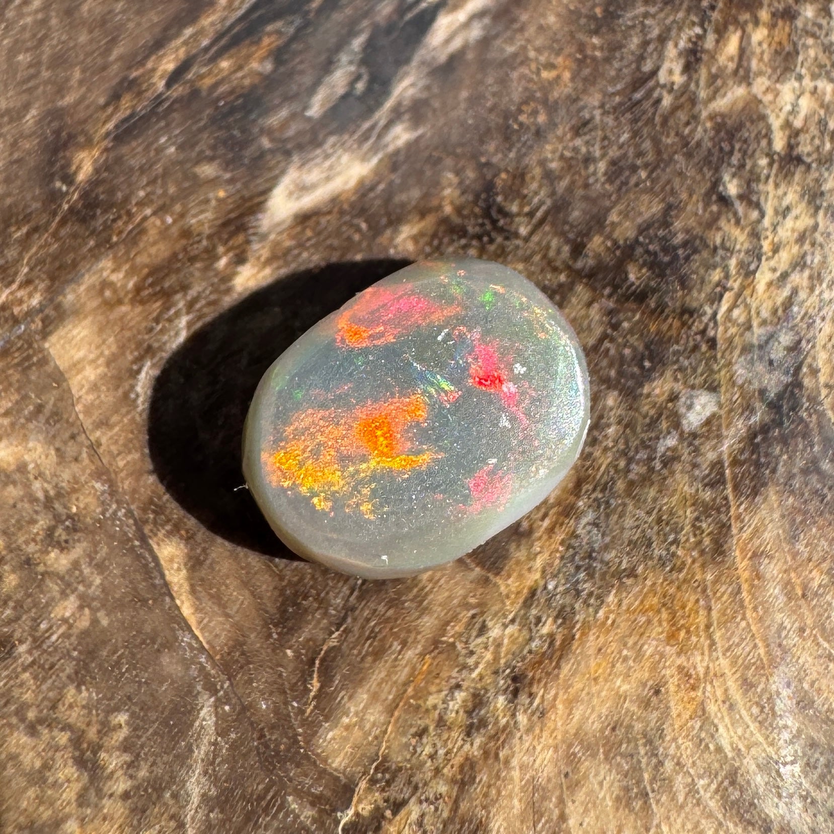 1.6ct Lightning Ridge Semi Black Opal | Solid Australian Opal | Hand-Cut
