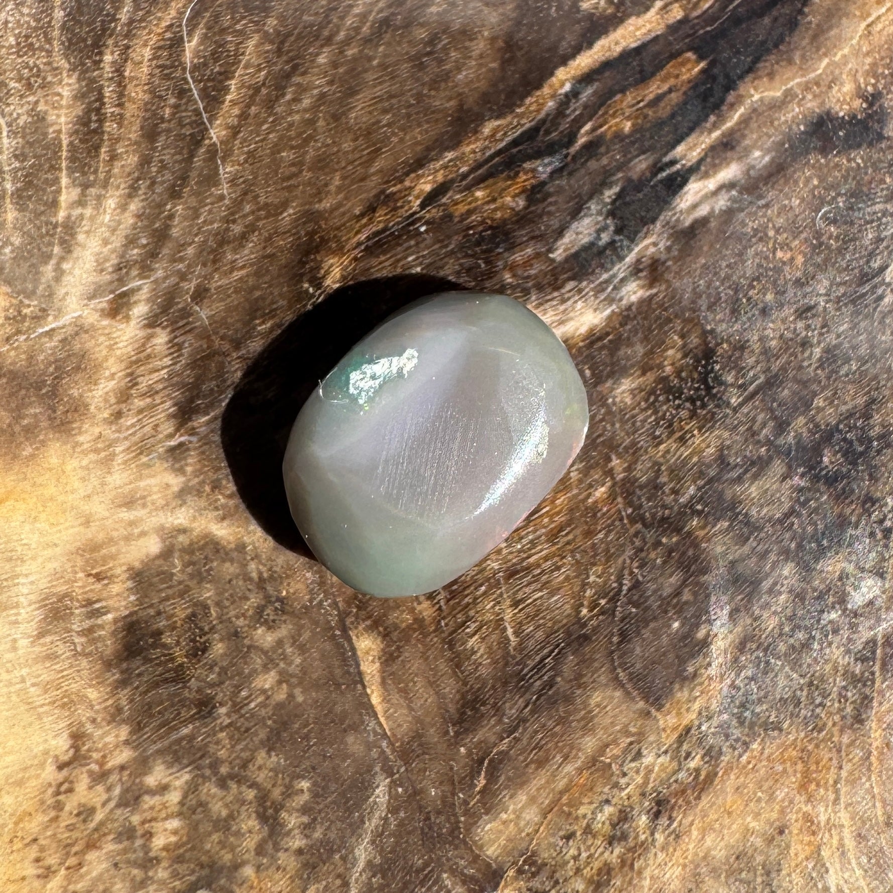 1.6ct Lightning Ridge Semi Black Opal | Solid Australian Opal | Hand-Cut