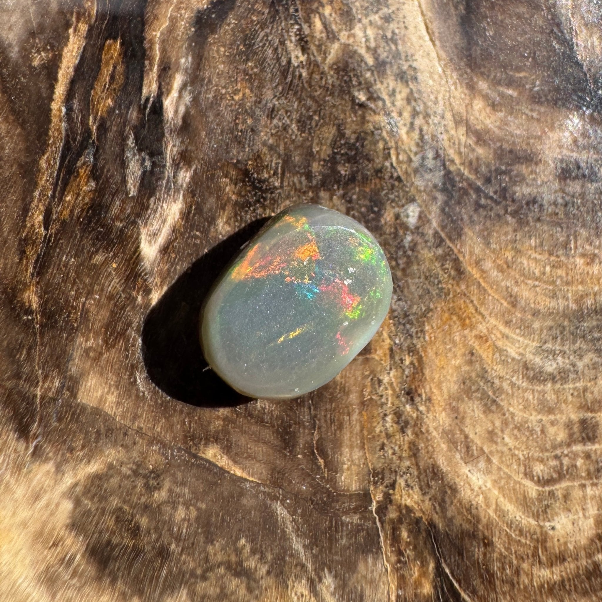 1.6ct Lightning Ridge Semi Black Opal | Solid Australian Opal | Hand-Cut