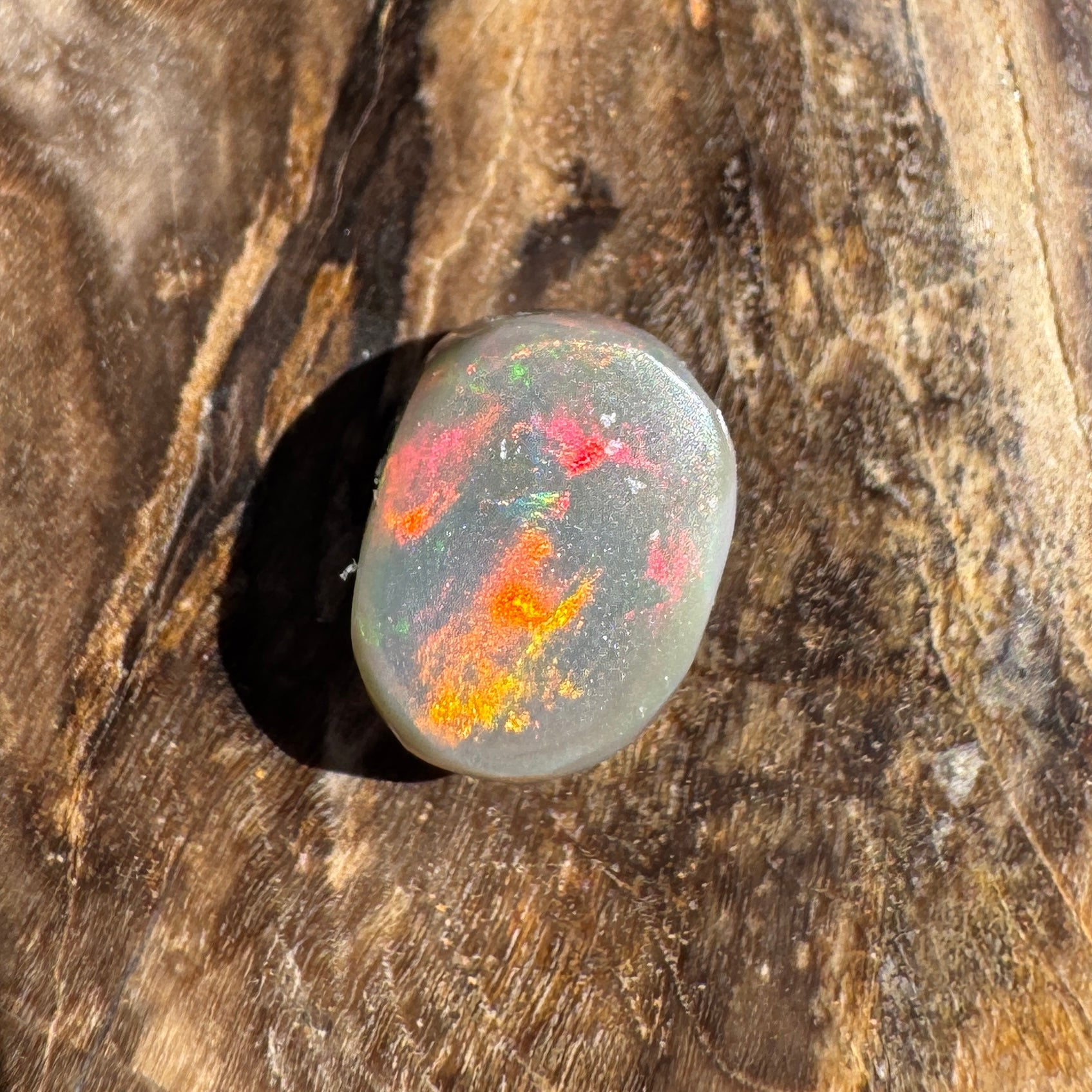 1.6ct Lightning Ridge Semi Black Opal | Solid Australian Opal | Hand-Cut