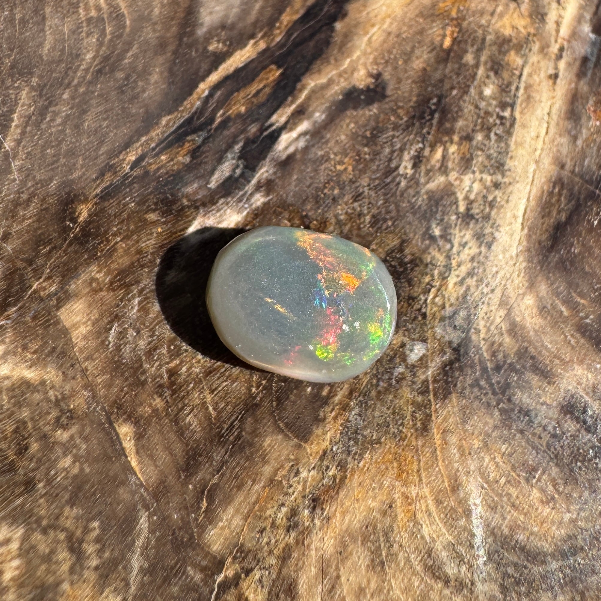 1.6ct Lightning Ridge Semi Black Opal | Solid Australian Opal | Hand-Cut