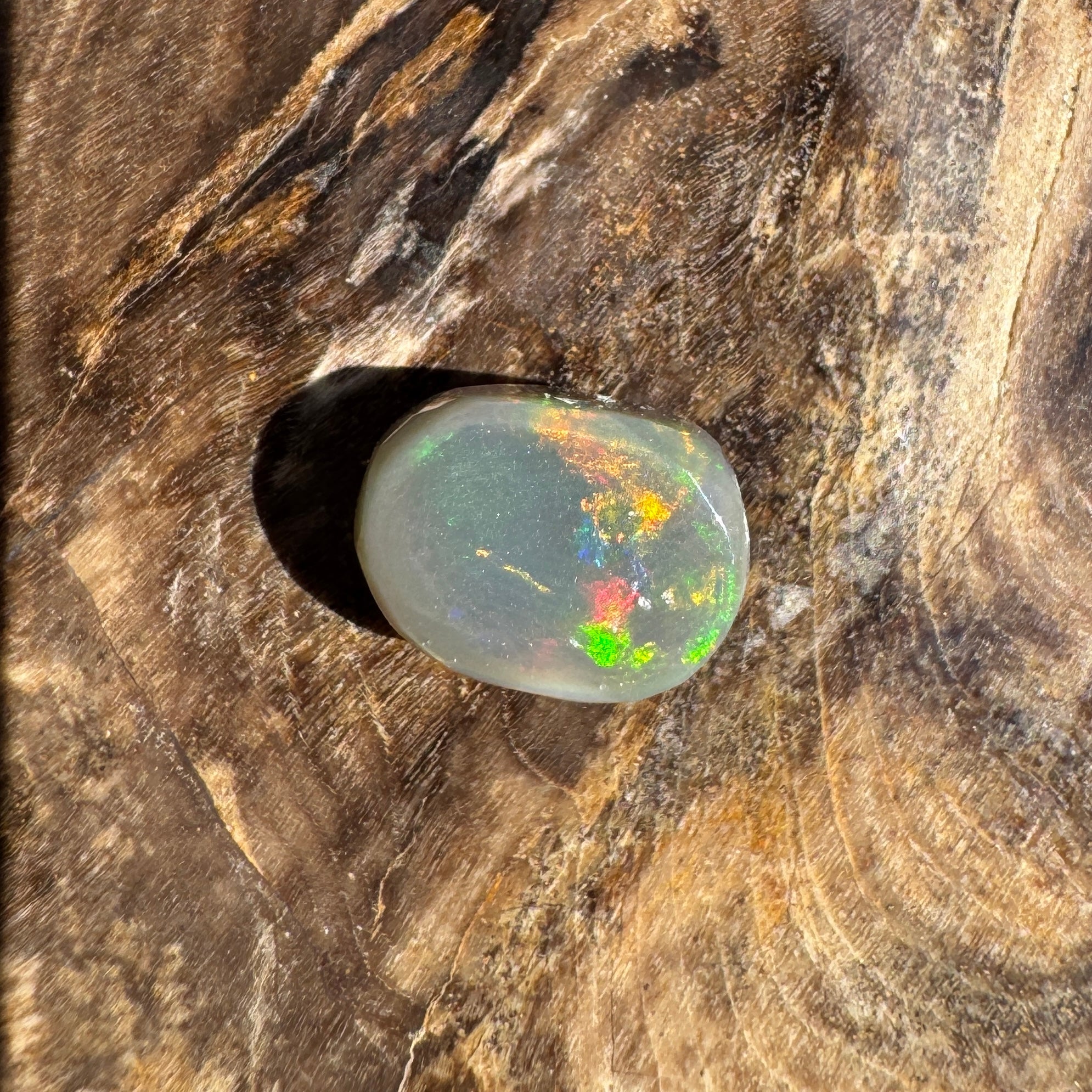 1.6ct Lightning Ridge Semi Black Opal | Solid Australian Opal | Hand-Cut