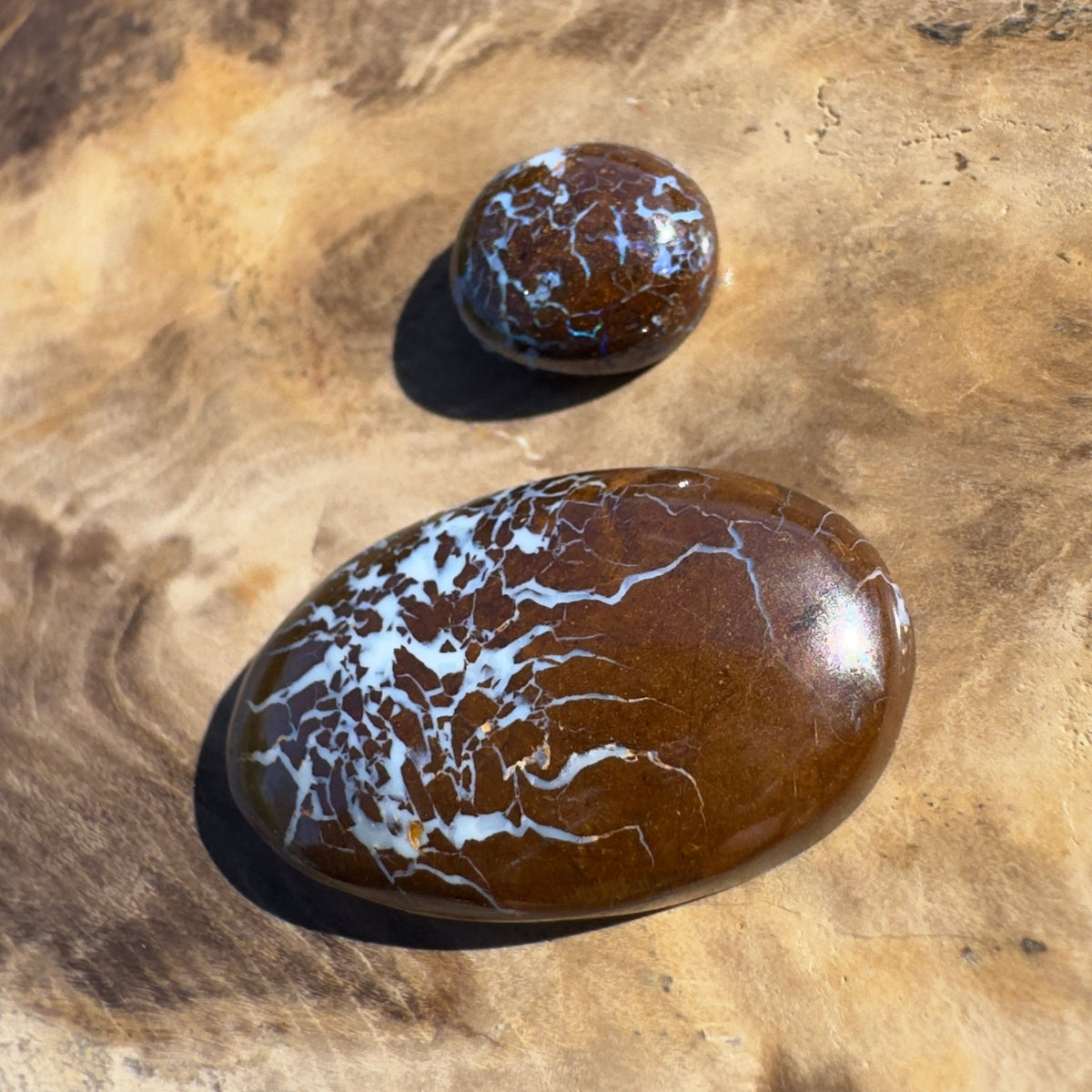 16ct Queensland Boulder Opal | Solid Australian Opal