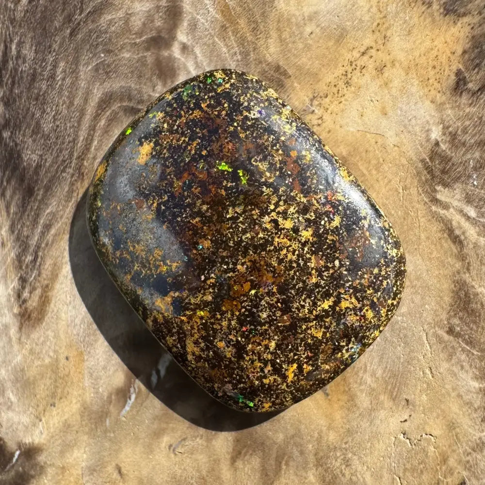Polished black opal with multicolored flecks.