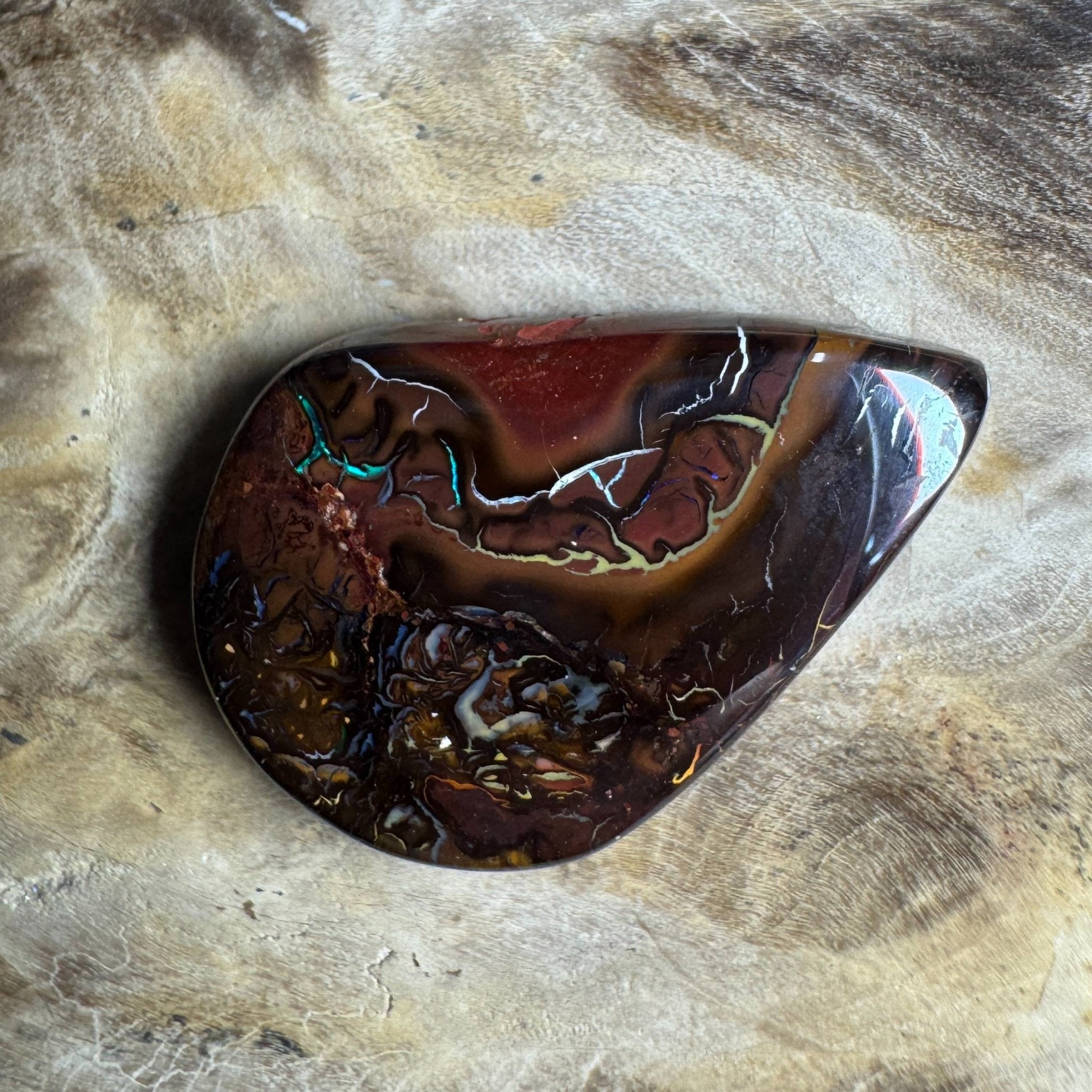 17.3ct Queensland Boulder Opal