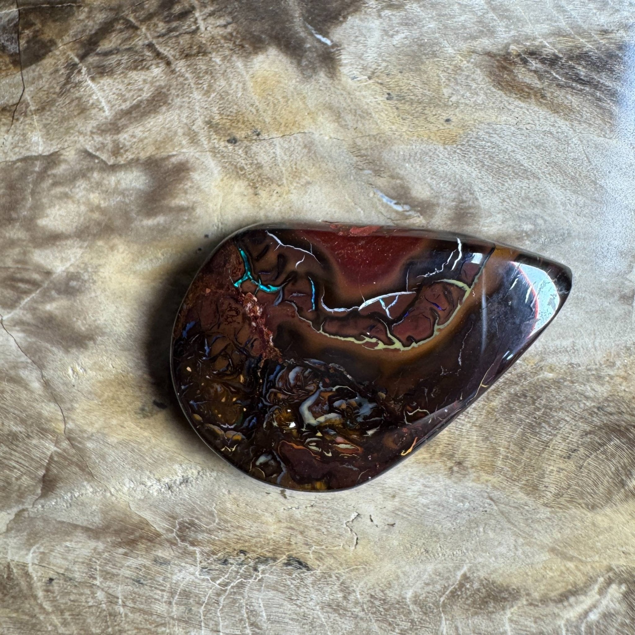17.3ct Queensland Boulder Opal