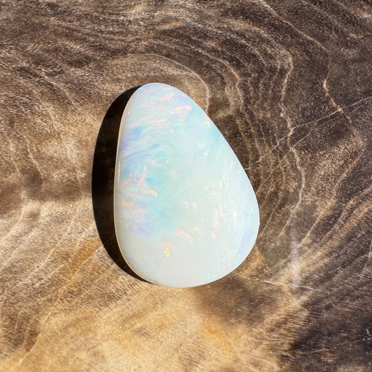 1.7ct Coober Pedy Shell Fossil Opal | Solid Australian Opal | Hand-Cut