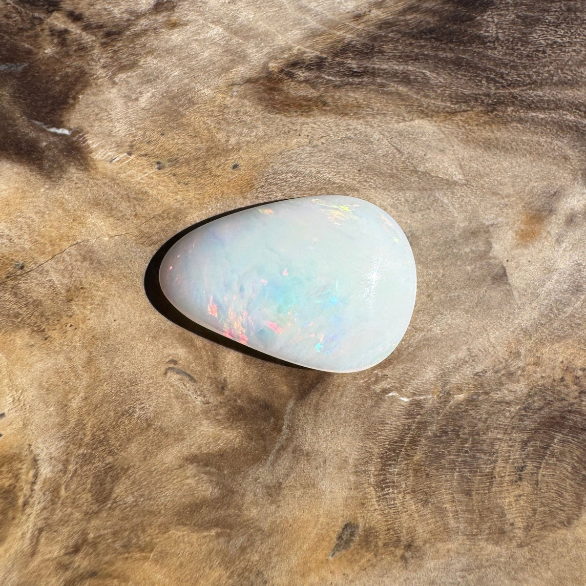 1.7ct Coober Pedy Shell Fossil Opal | Solid Australian Opal | Hand-Cut