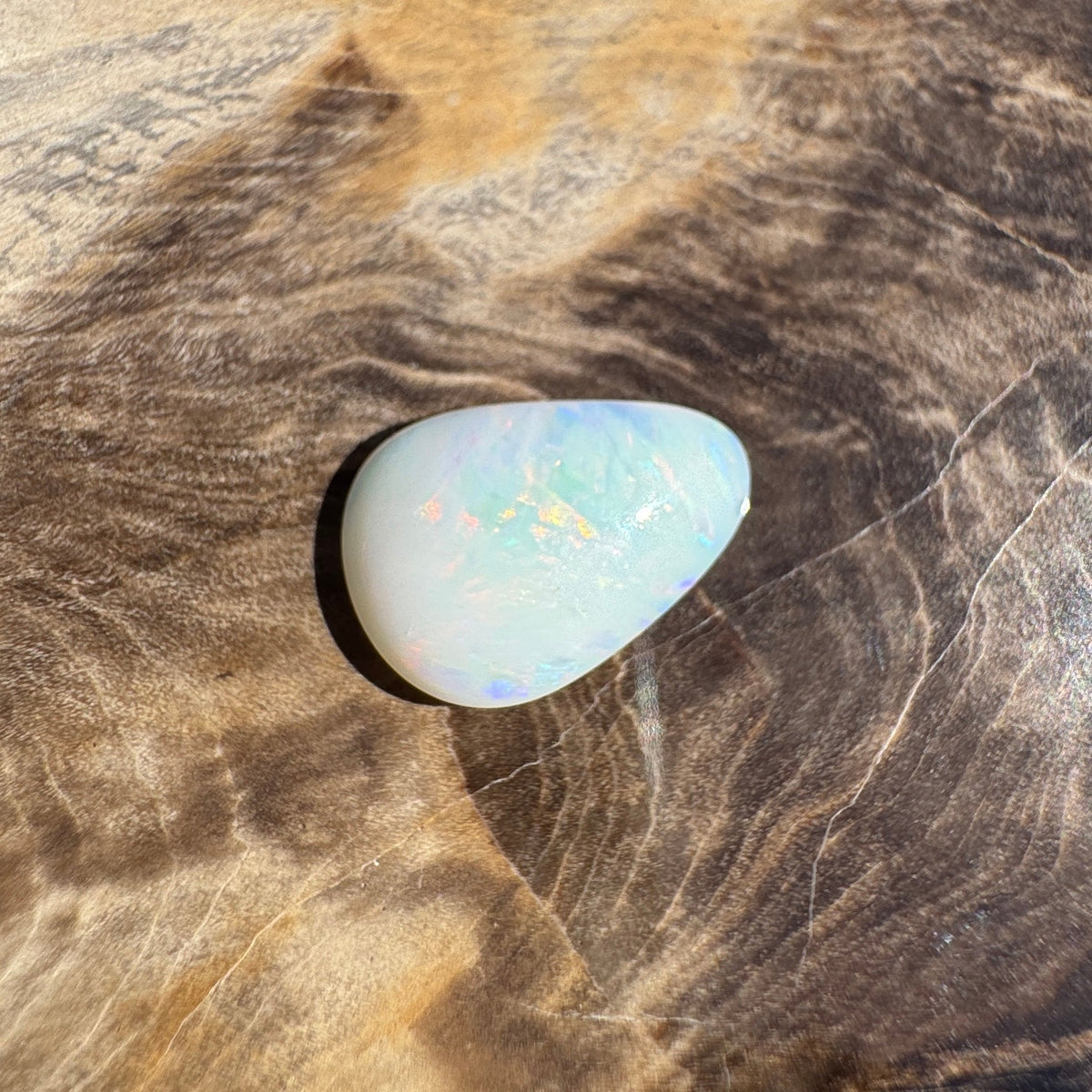1.7ct Coober Pedy Shell Fossil Opal | Solid Australian Opal | Hand-Cut