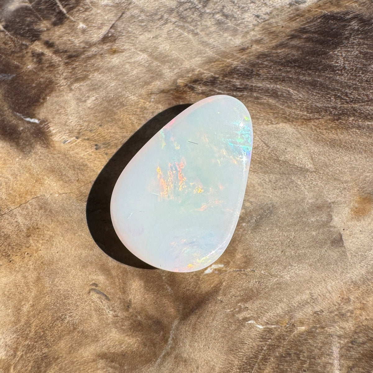 1.7ct Coober Pedy Shell Fossil Opal | Solid Australian Opal | Hand-Cut