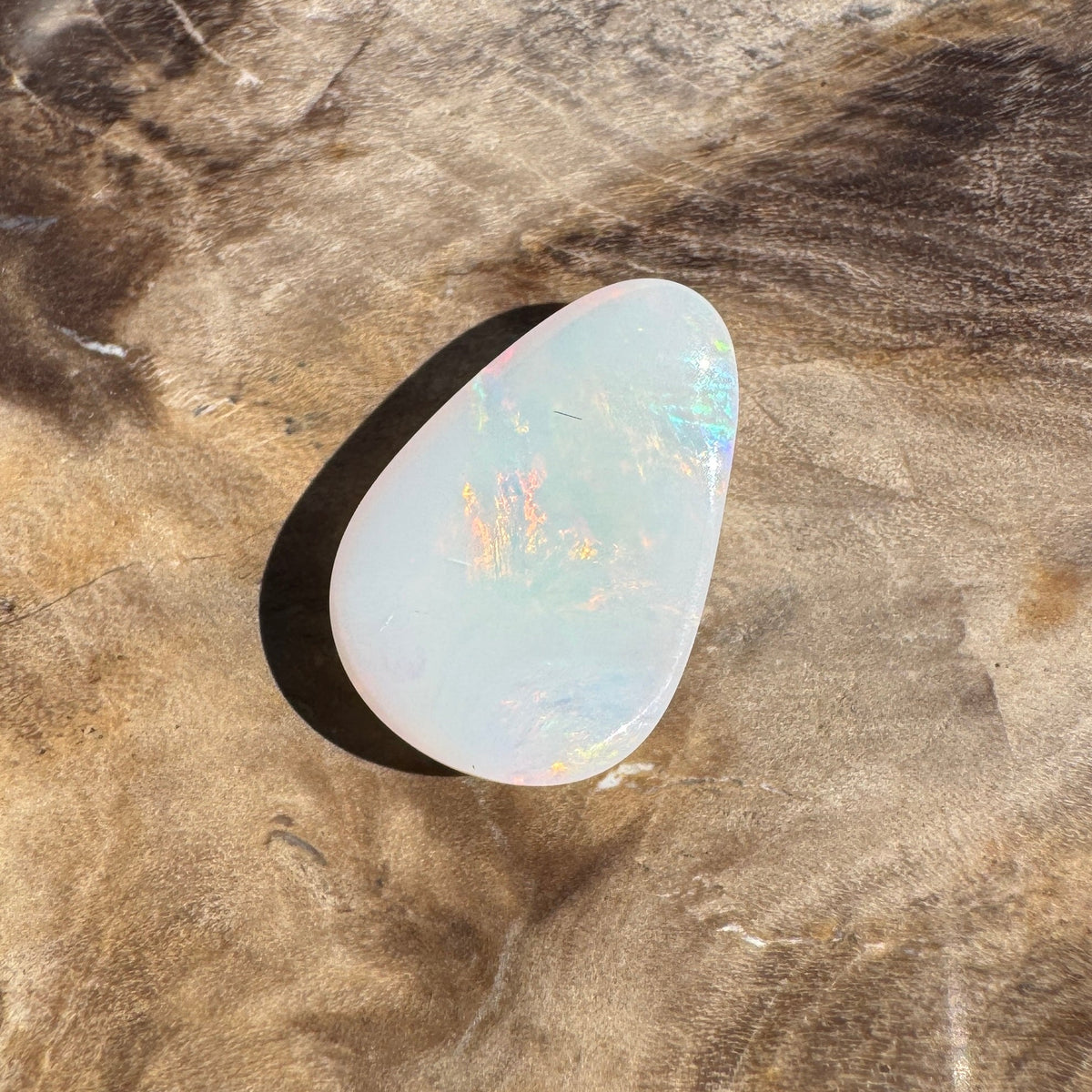 1.7ct Coober Pedy Shell Fossil Opal | Solid Australian Opal | Hand-Cut